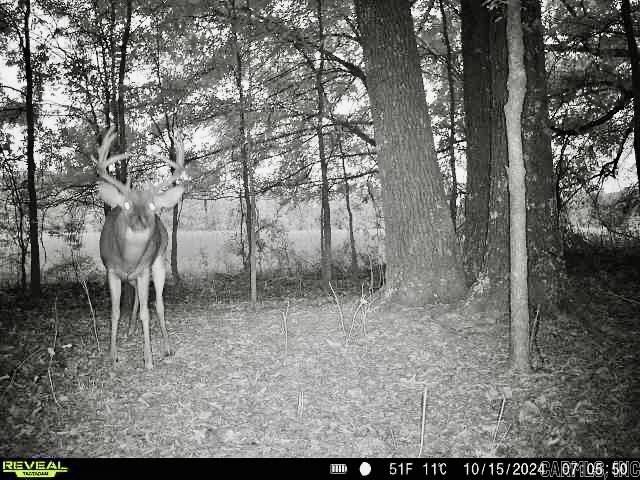 000 Oakdale  Lonoke, AR