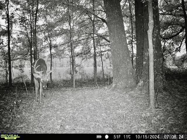 000  Oakdale  Lonoke, AR