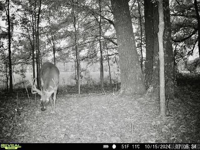 000  Oakdale  Lonoke, AR