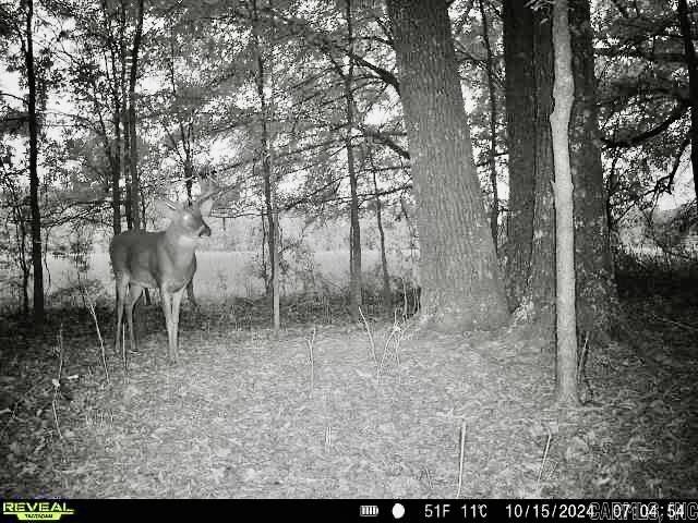 000  Oakdale  Lonoke, AR