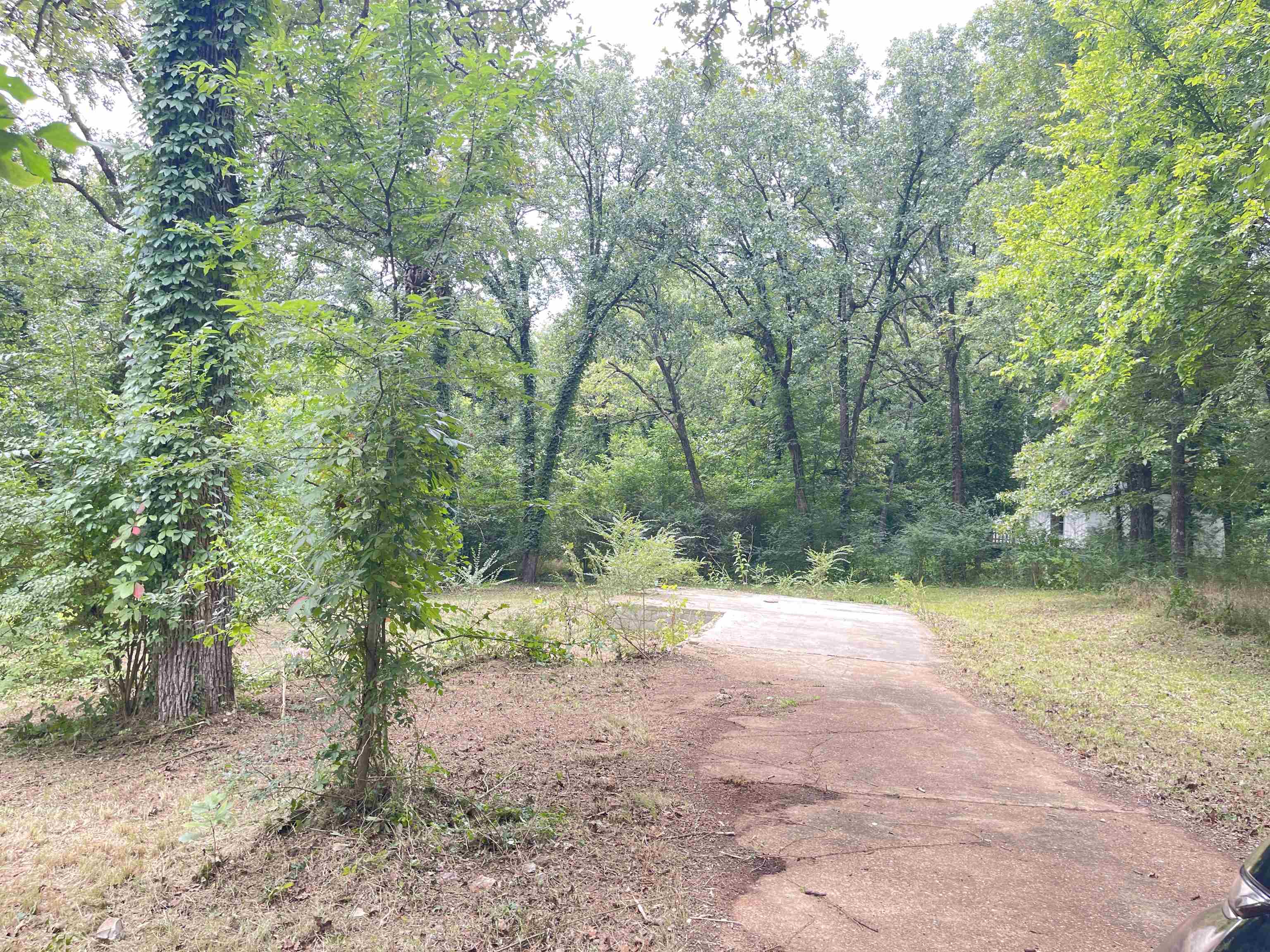 20  Pequot  Cherokee Village, AR