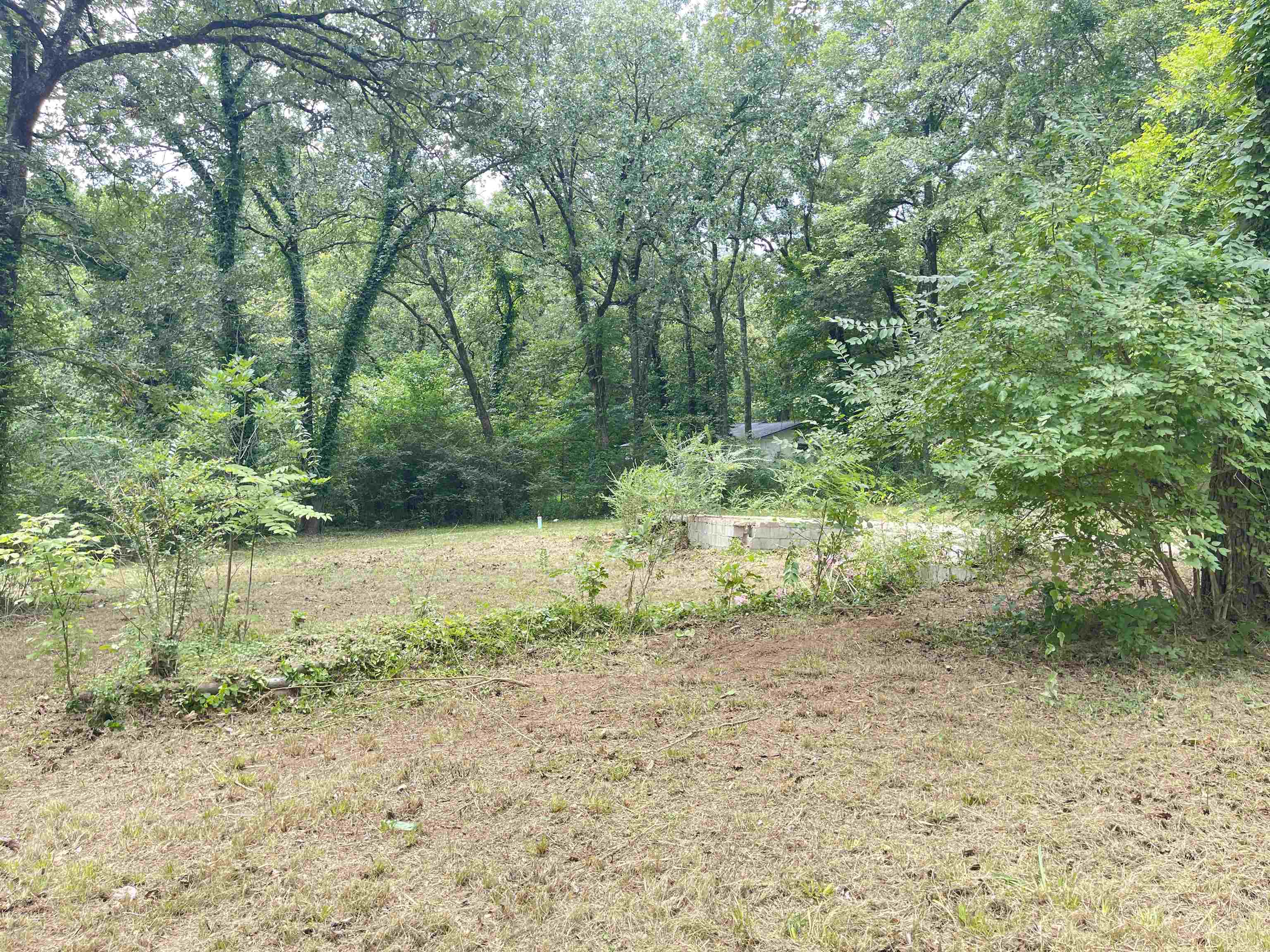 20  Pequot  Cherokee Village, AR