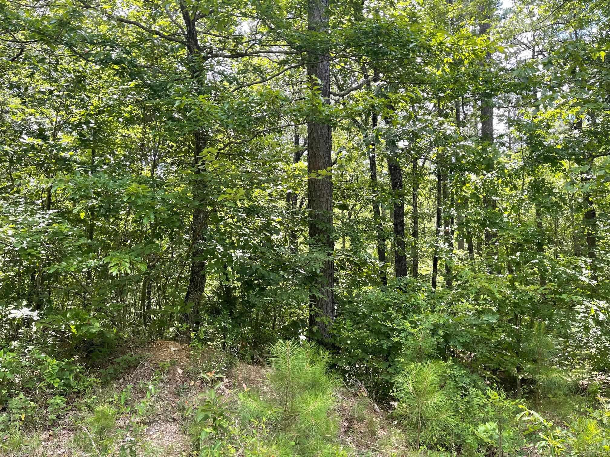 TBD  Cajun Lane  Mena, AR