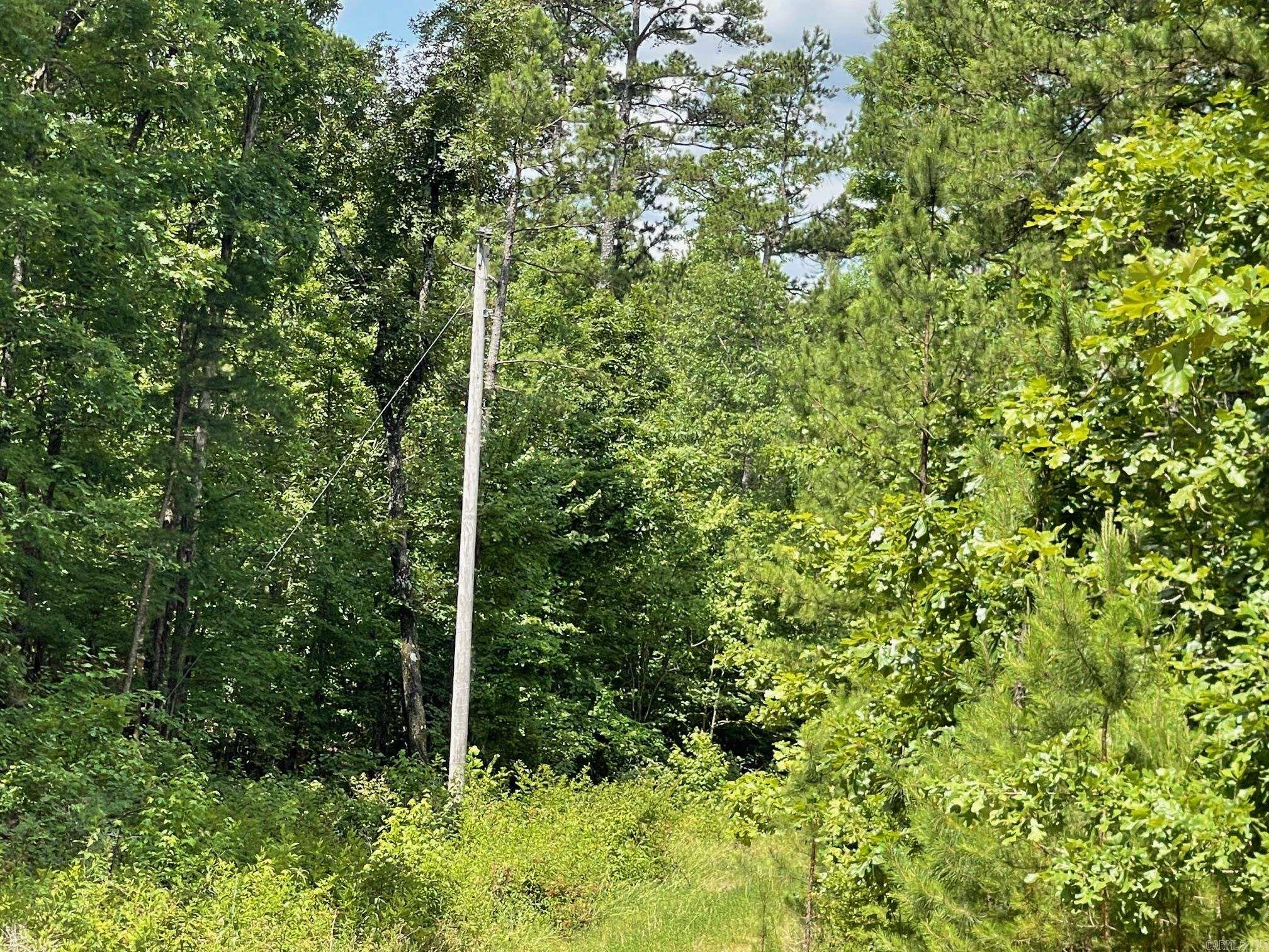 TBD  Cajun Lane  Mena, AR