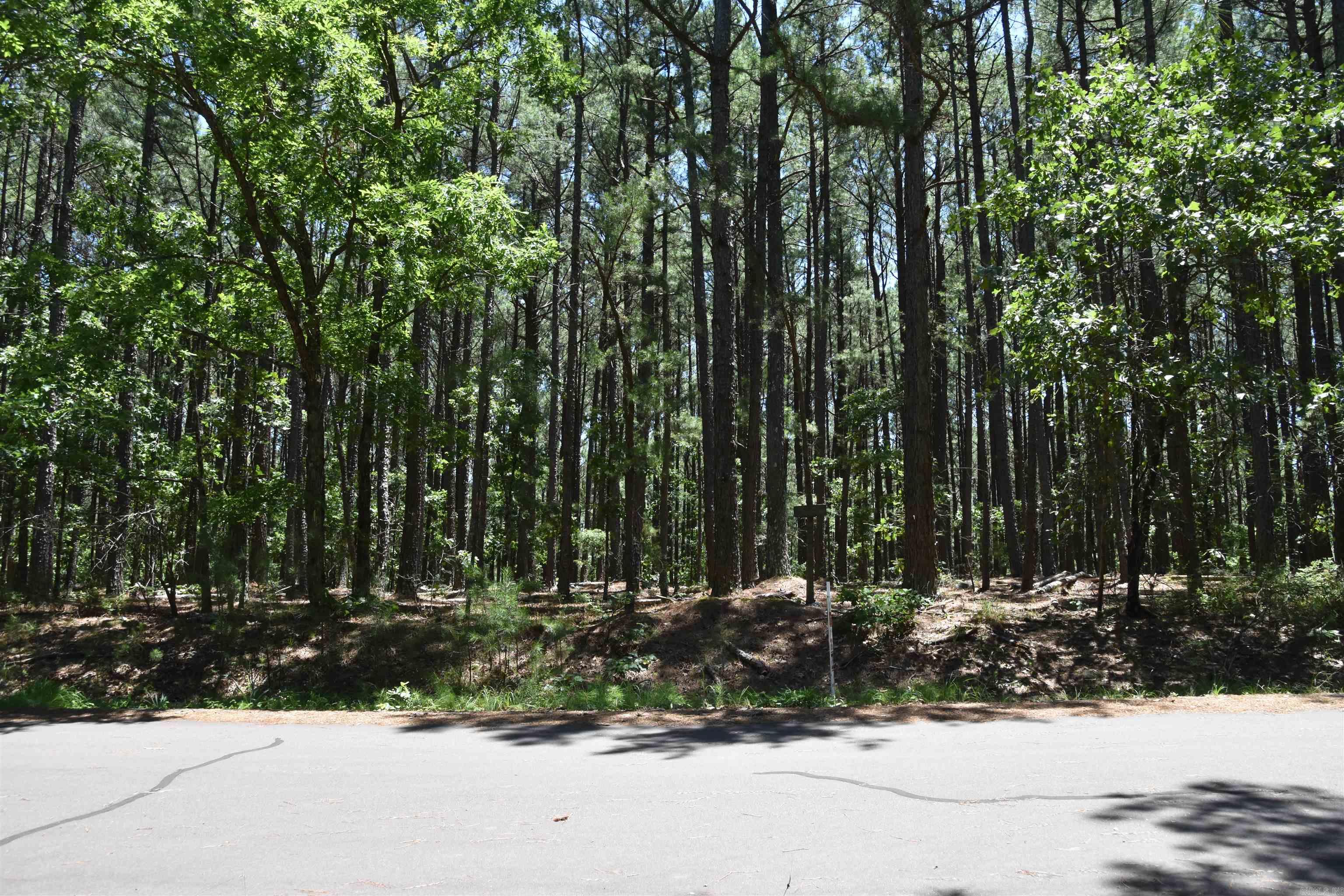 Lot 2  Mandarina  Hot Springs Village, AR