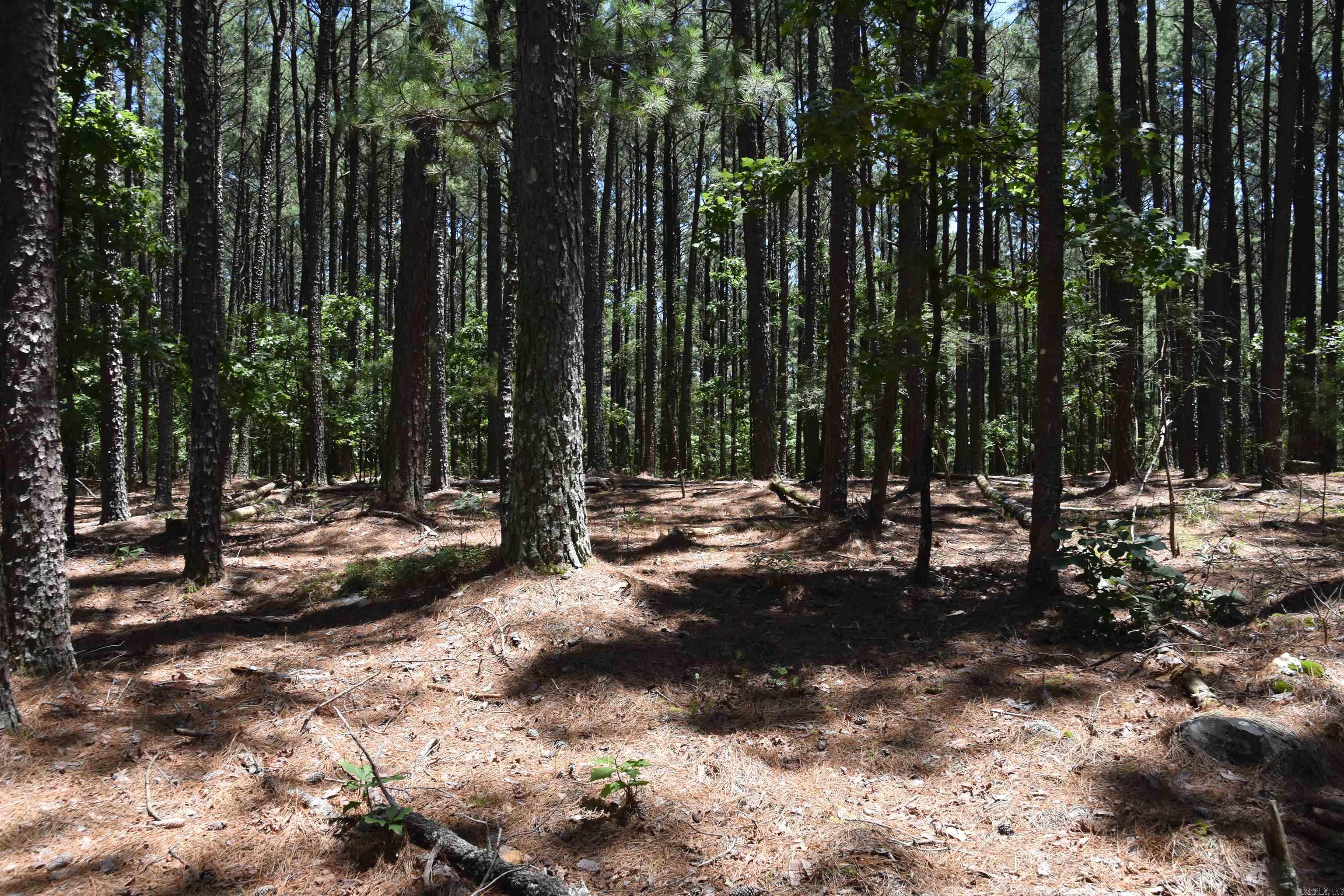 Lot 2  Mandarina  Hot Springs Village, AR