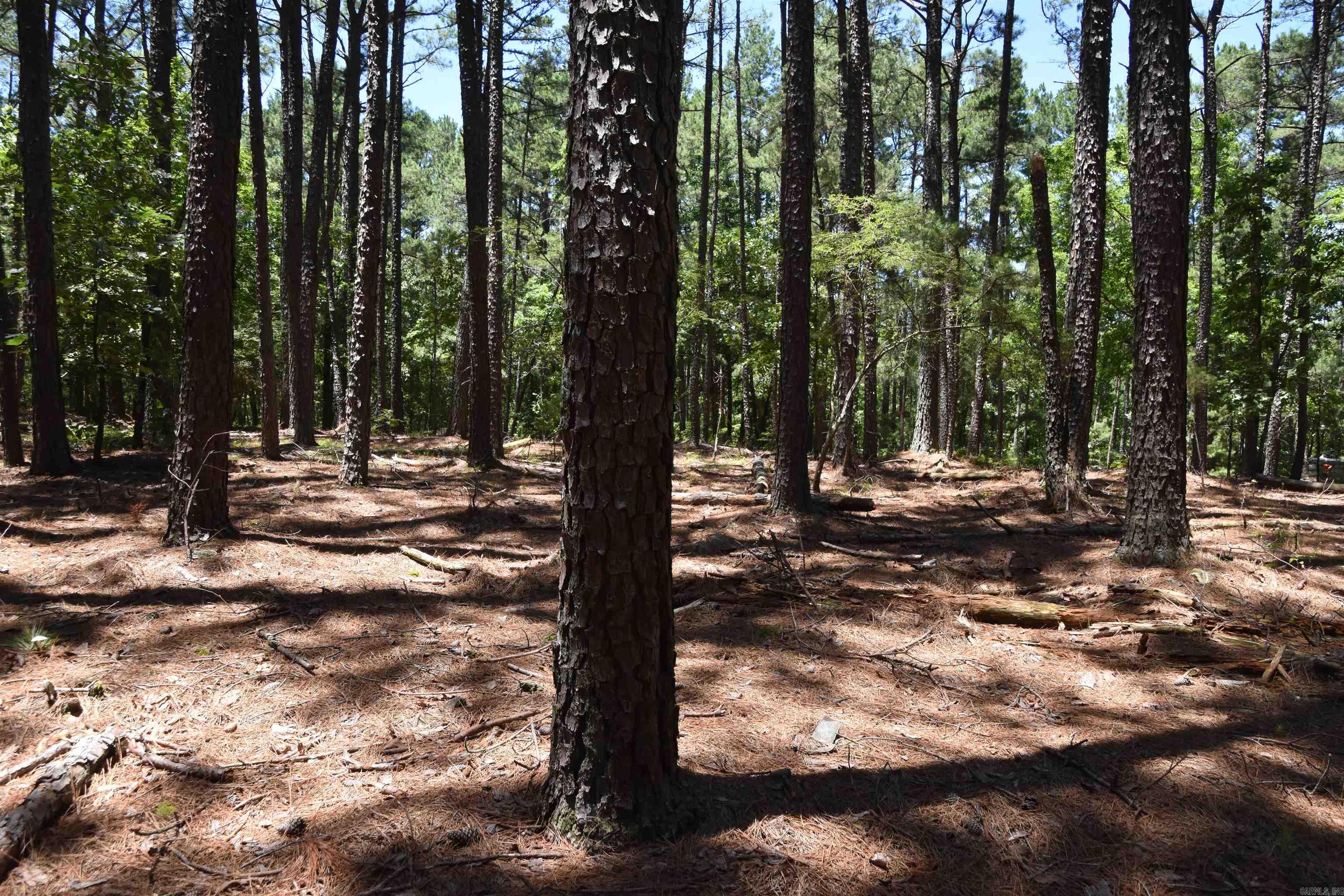 Lot 2  Mandarina  Hot Springs Village, AR