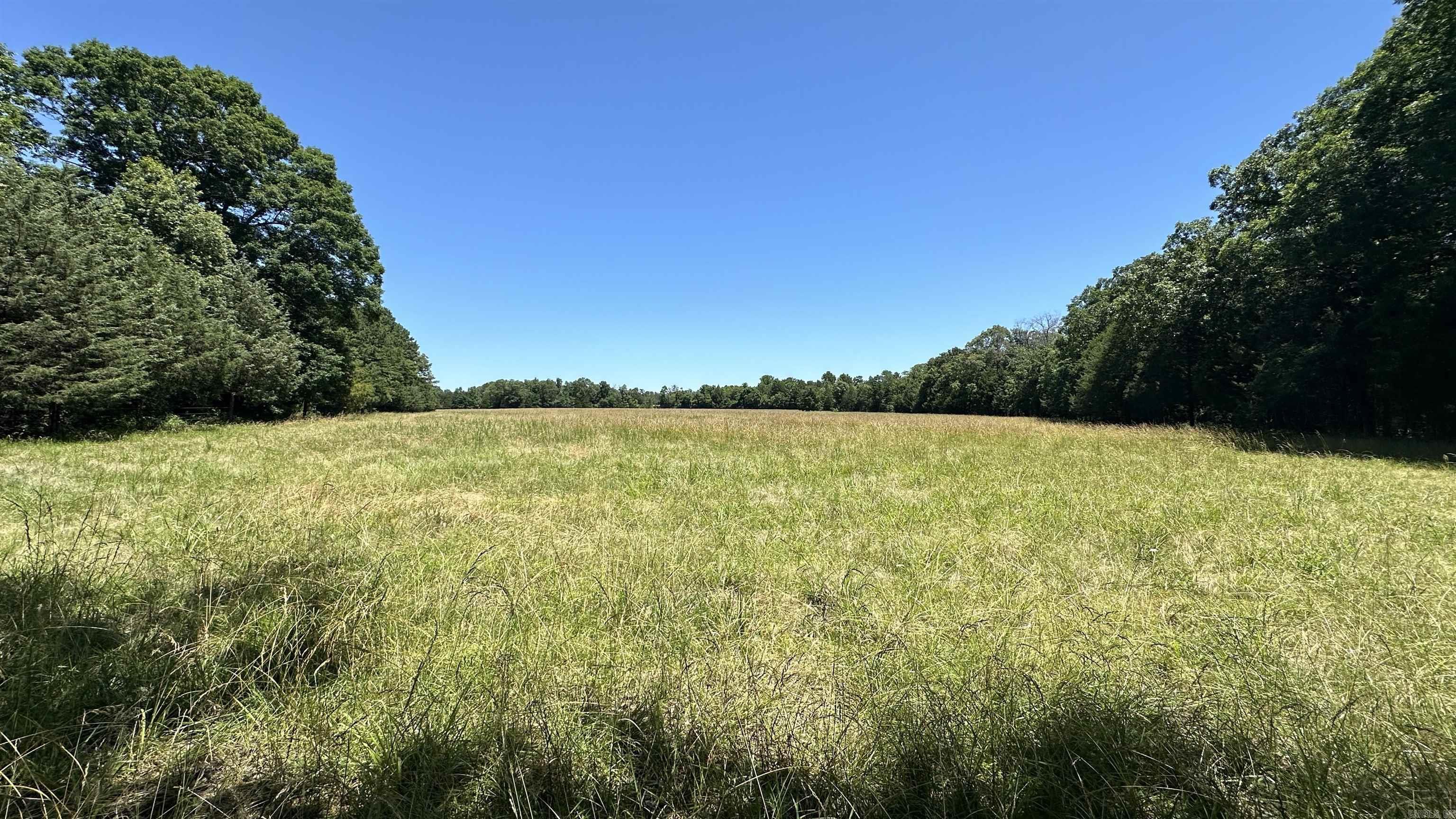 000  Ray King Rd.  Judsonia, AR
