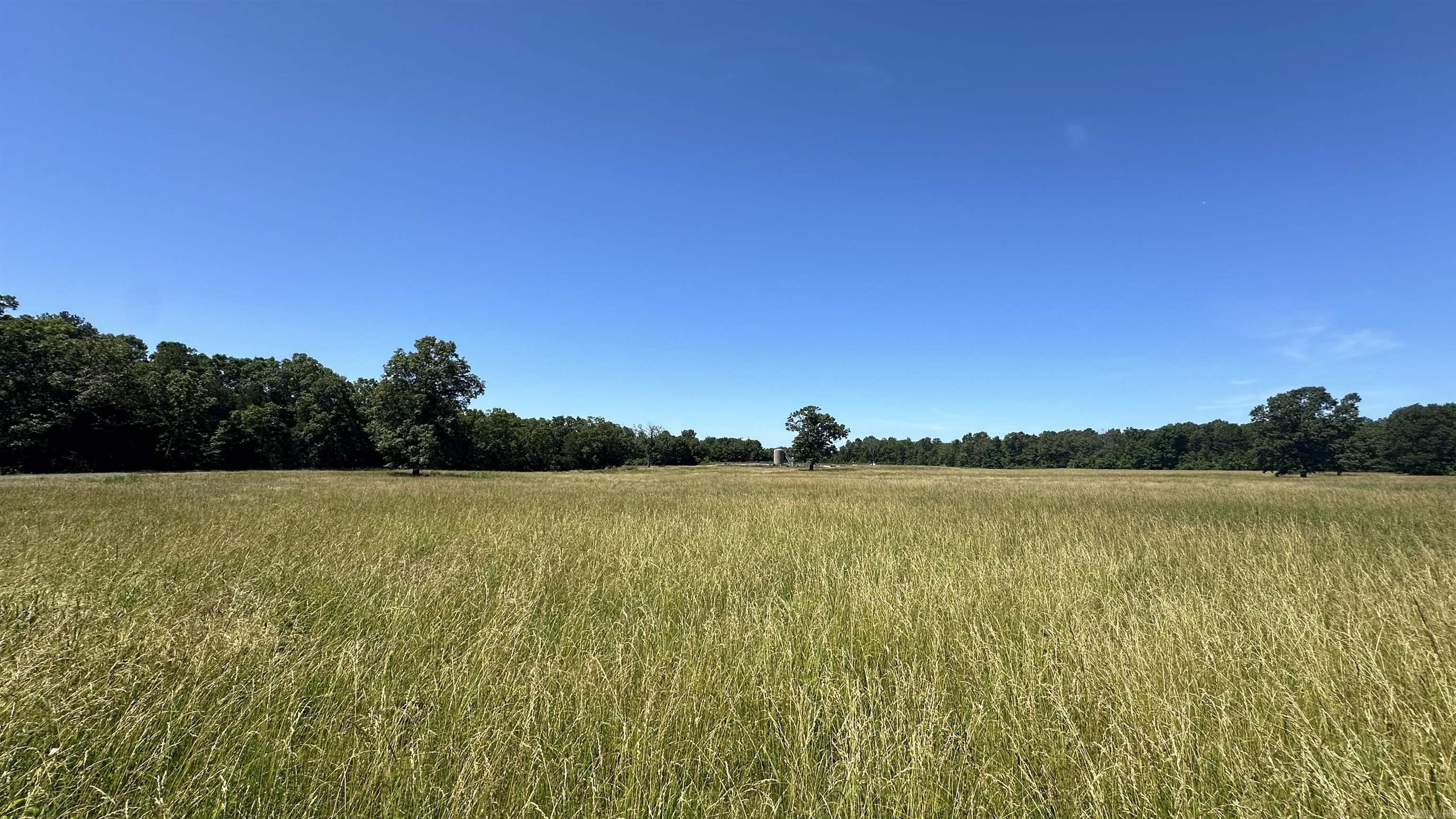 000  Ray King Rd.  Judsonia, AR