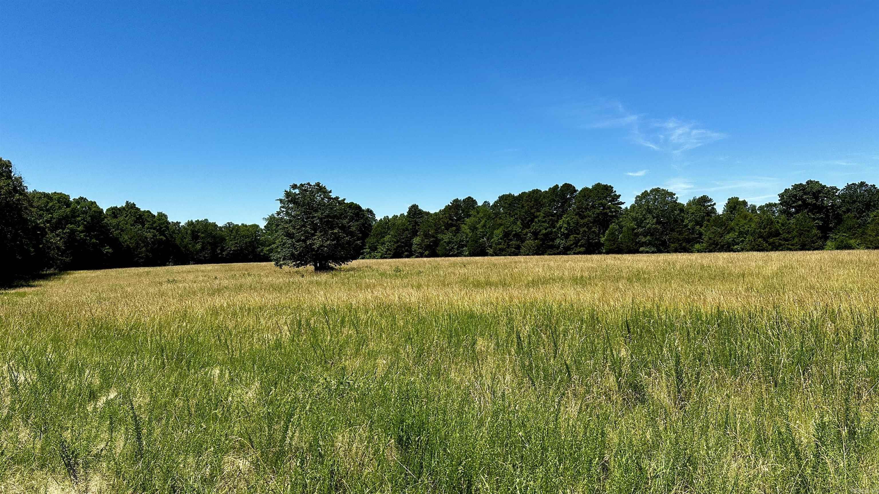 000  Ray King Rd.  Judsonia, AR