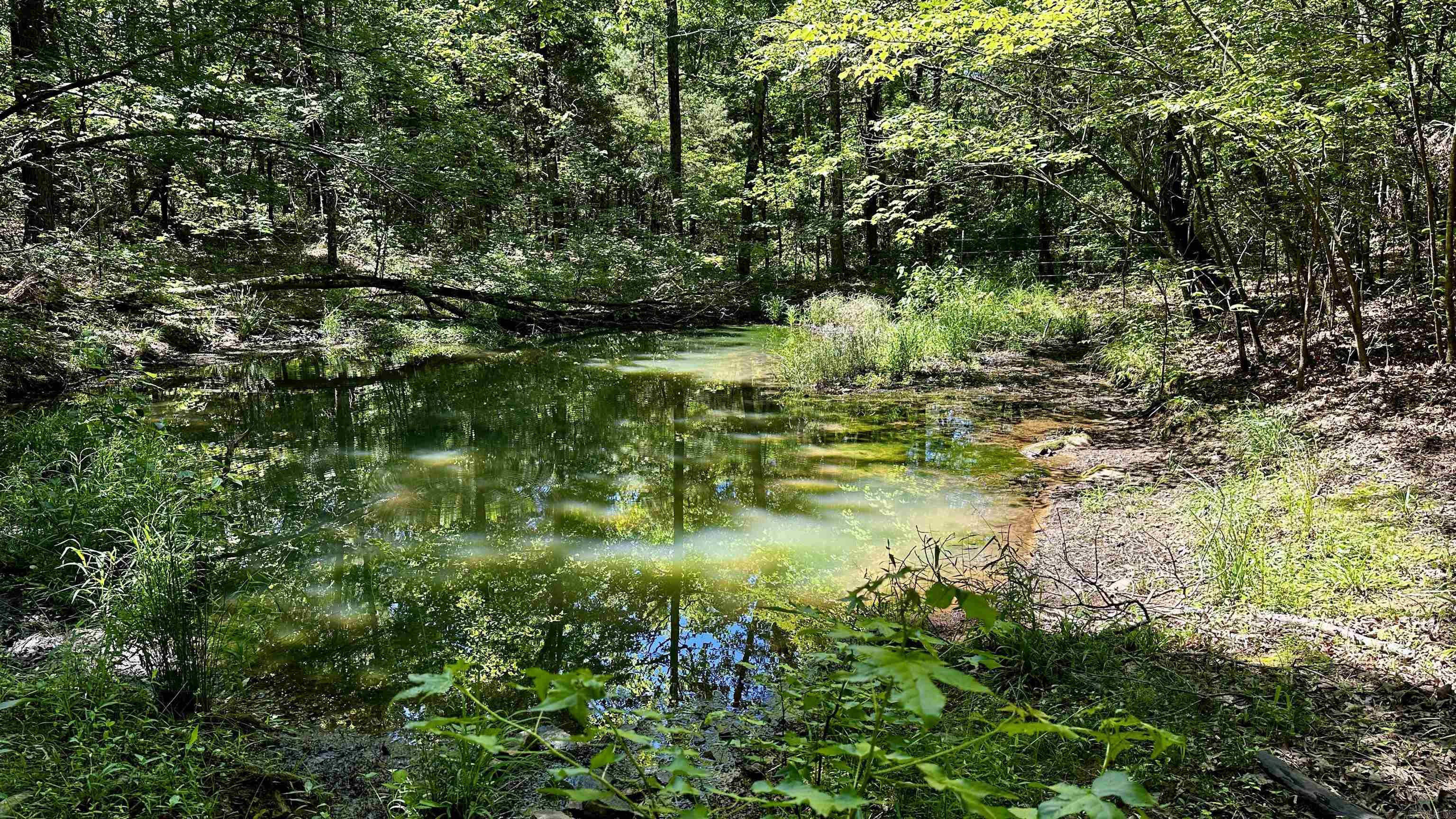 000  Ray King Rd.  Judsonia, AR