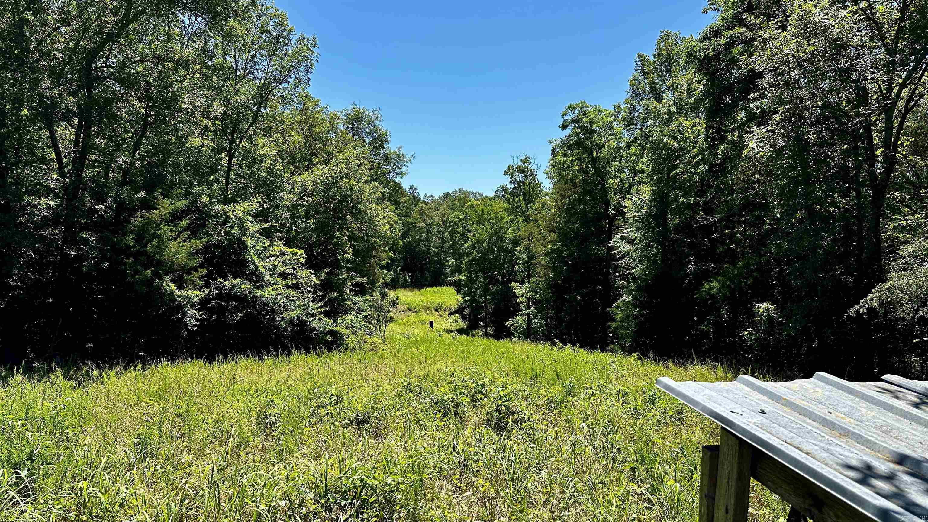 000  Ray King Rd.  Judsonia, AR