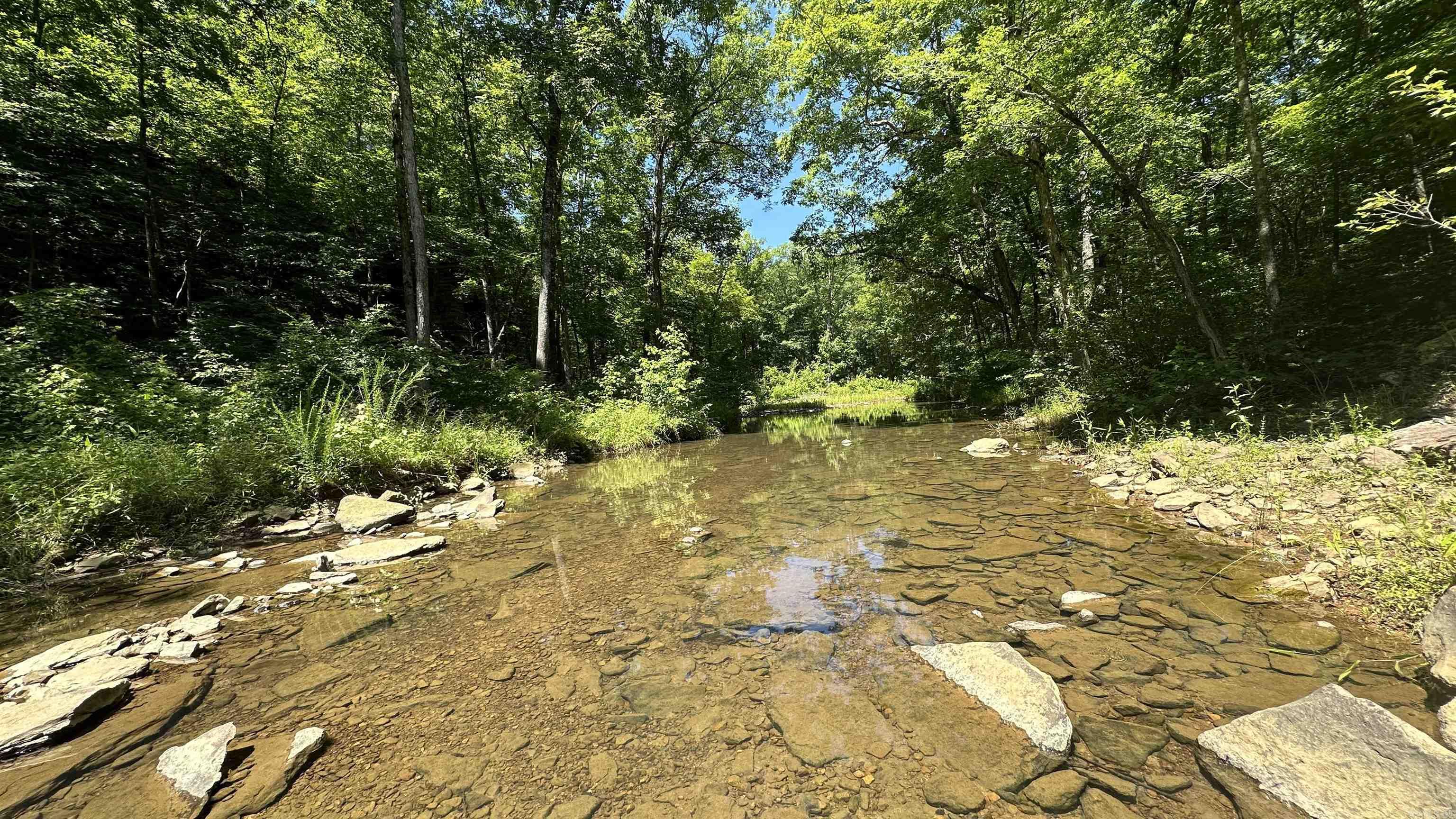 000  Ray King Rd.  Judsonia, AR