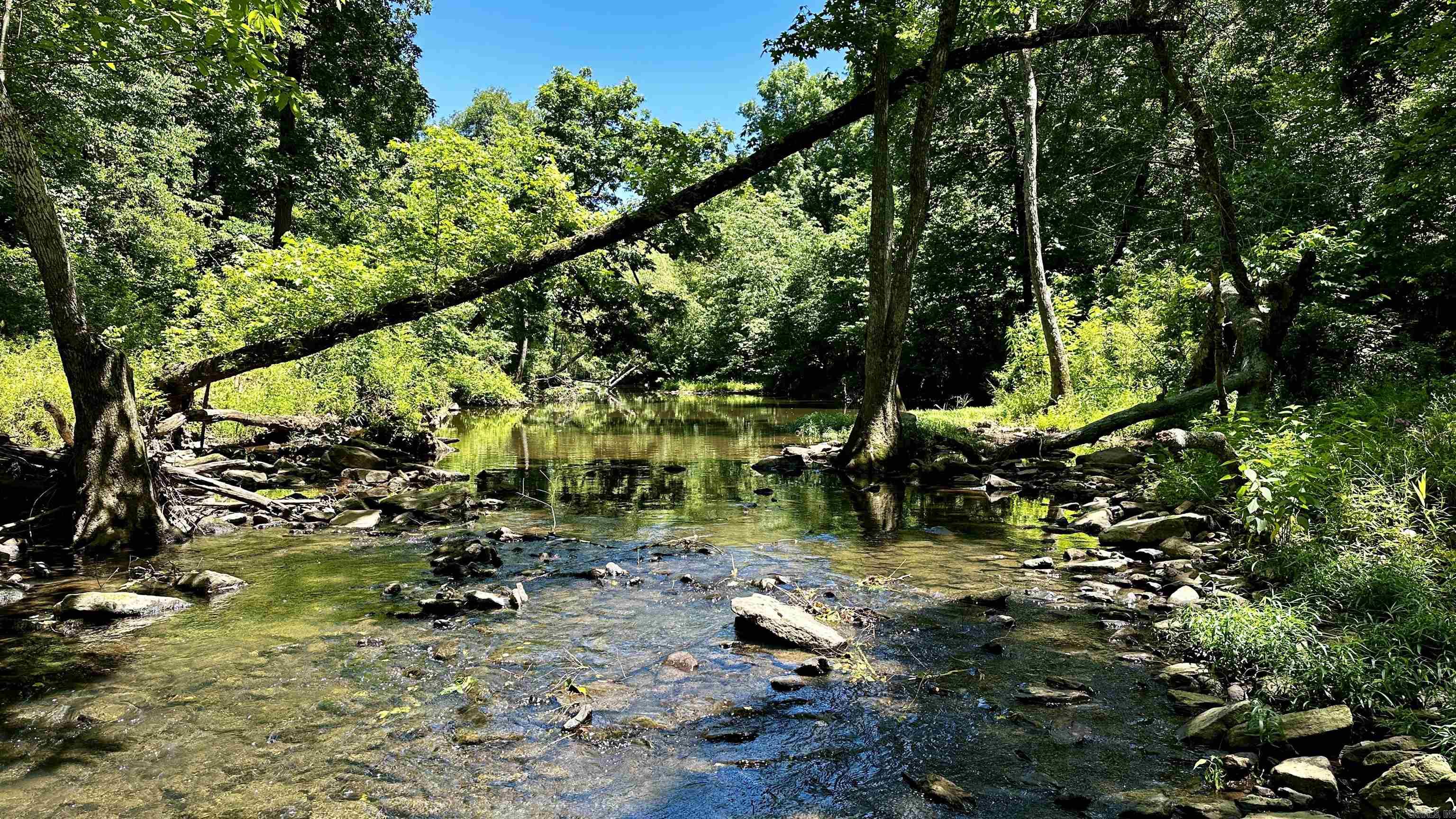 000  Ray King Rd.  Judsonia, AR
