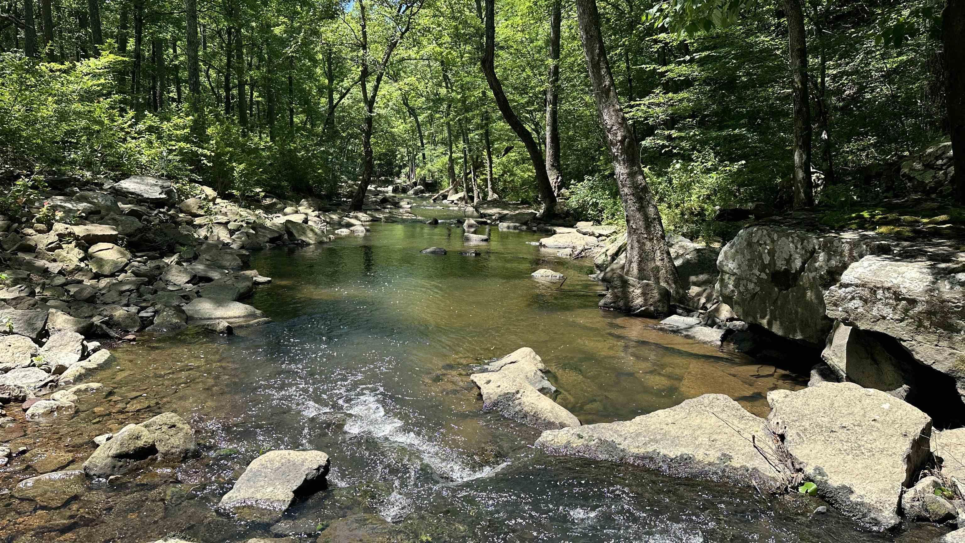 000  Ray King Rd.  Judsonia, AR