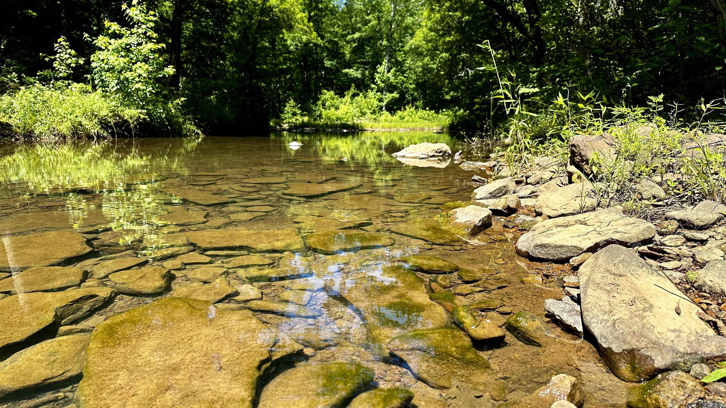 000  Ray King Rd.  Judsonia, AR