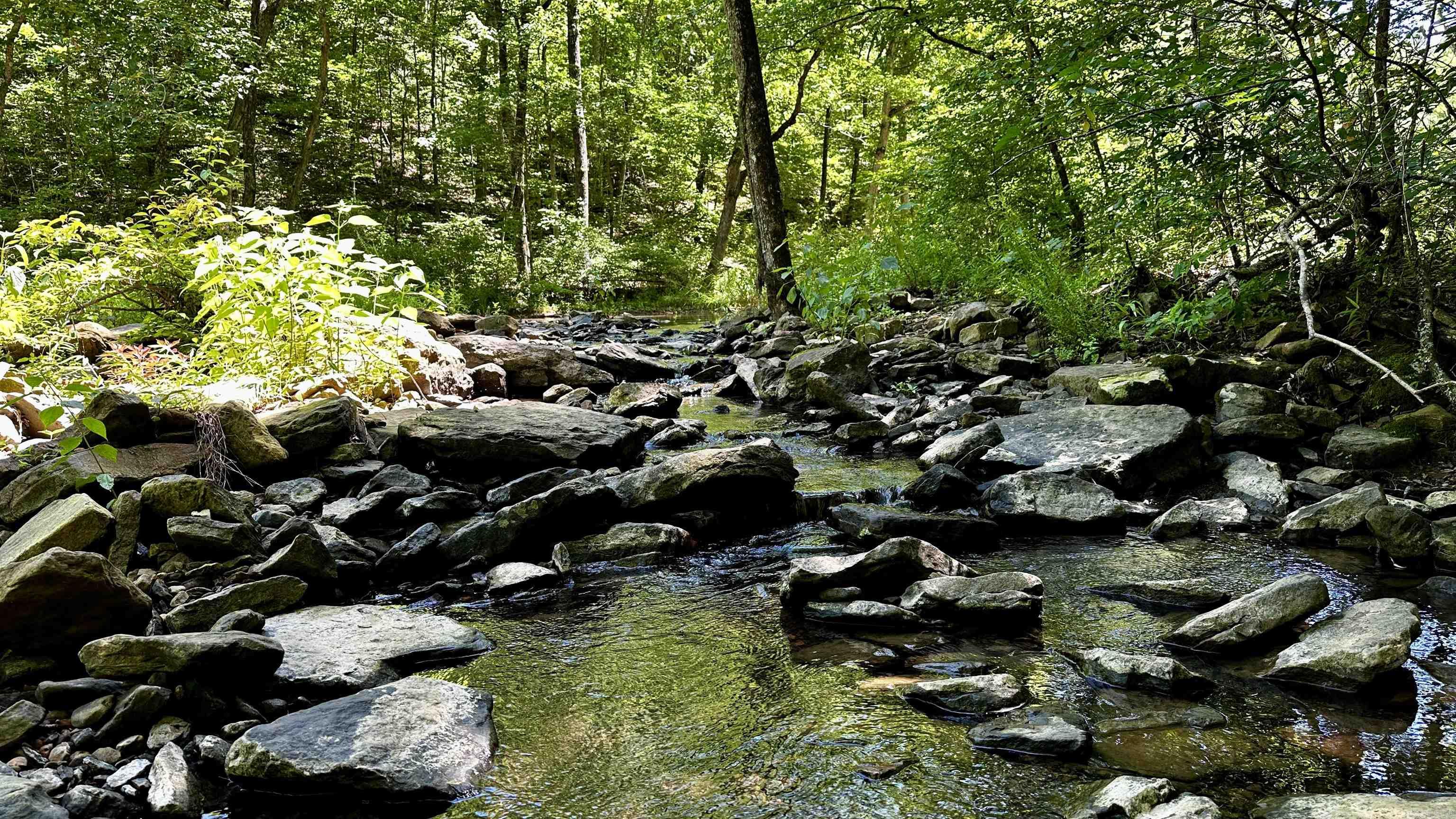 000  Ray King Rd.  Judsonia, AR
