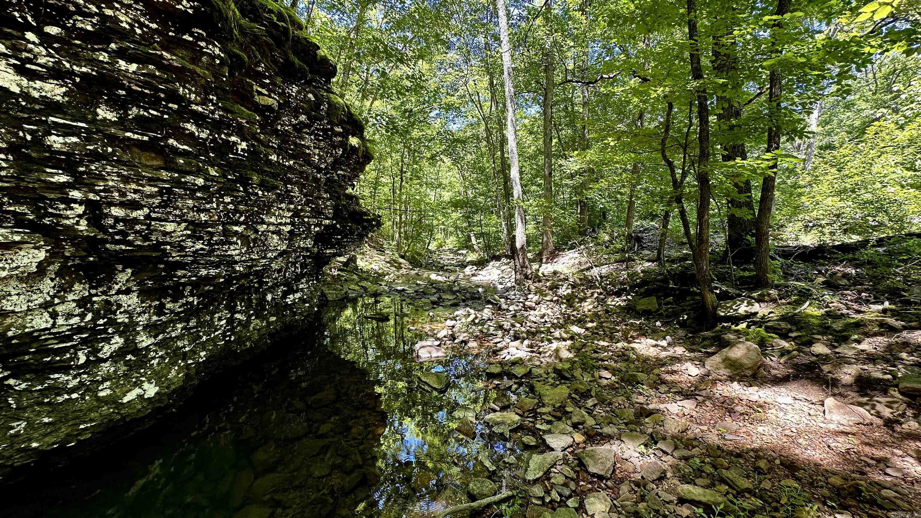 000  Ray King Rd.  Judsonia, AR