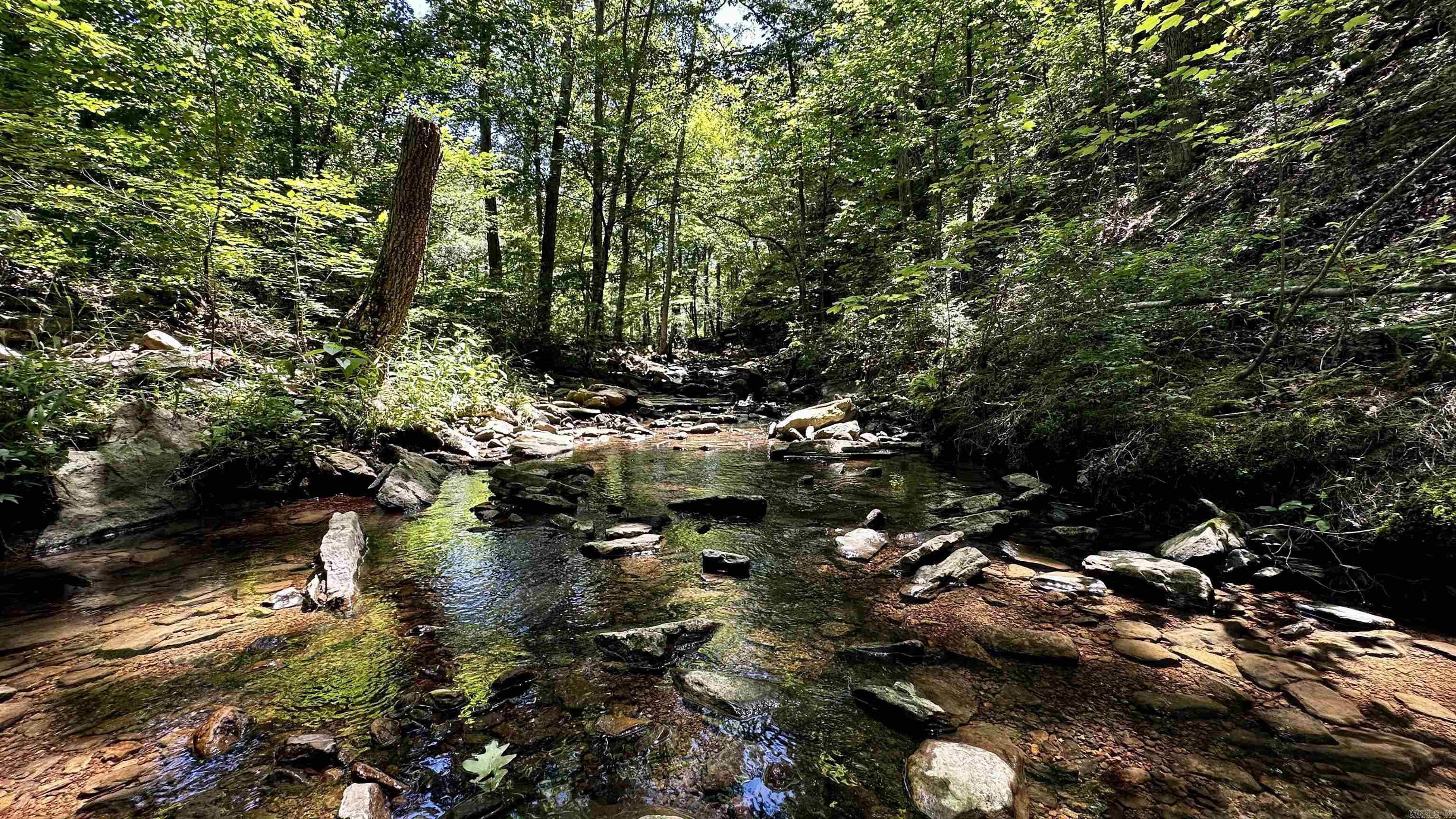 000  Ray King Rd.  Judsonia, AR