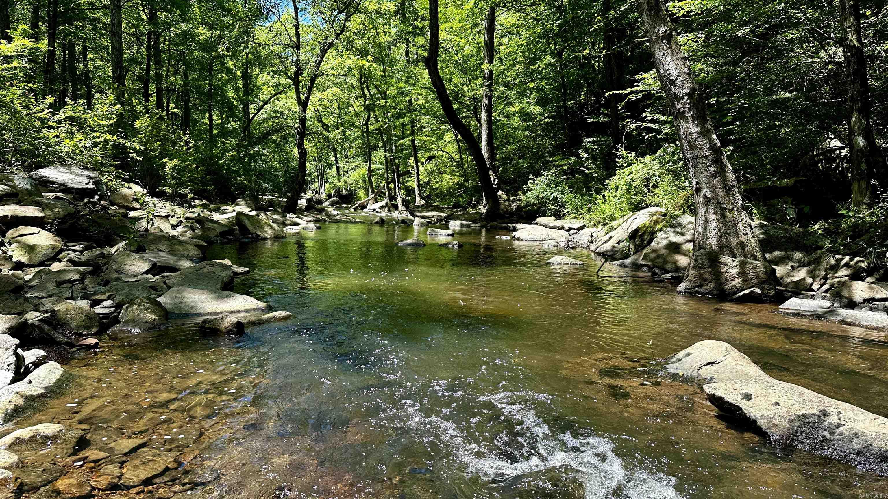 000  Ray King Rd.  Judsonia, AR