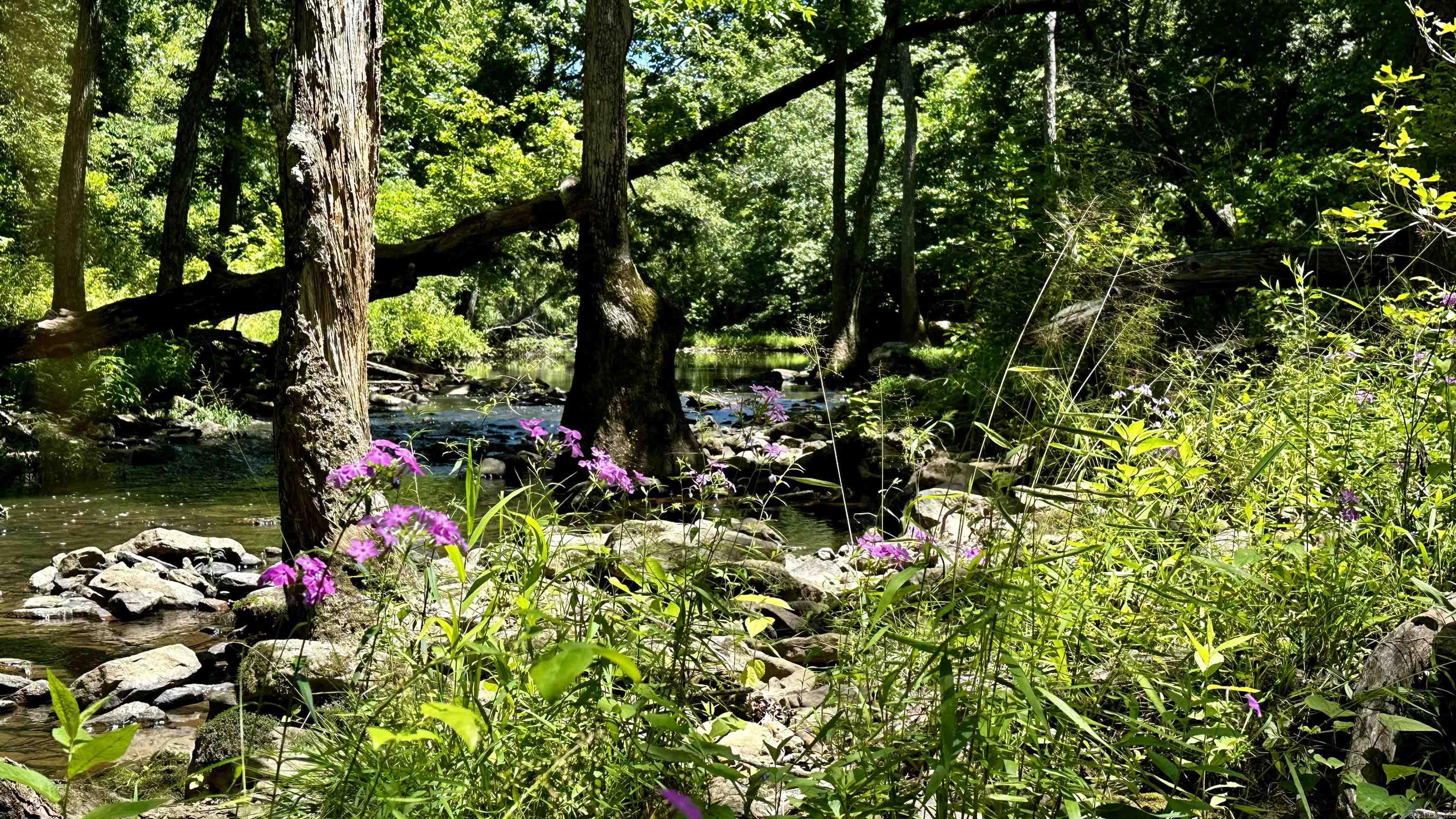 000  Ray King Rd.  Judsonia, AR