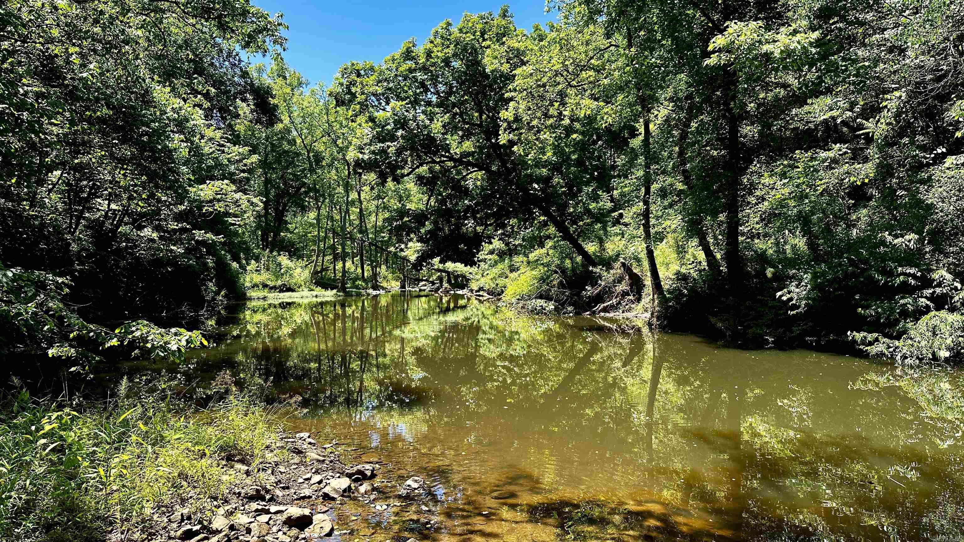 000  Ray King Rd.  Judsonia, AR