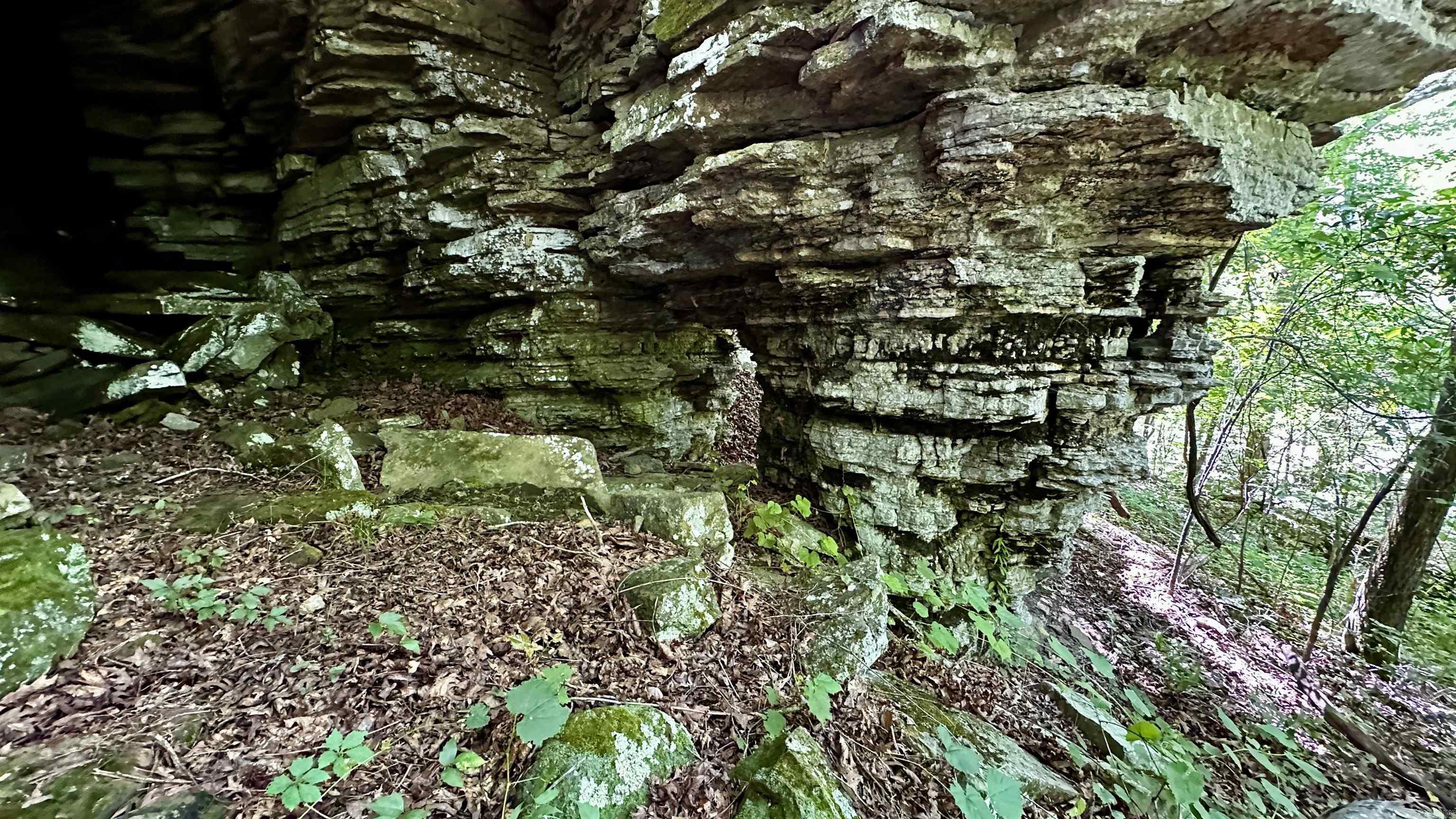 000  Ray King Rd.  Judsonia, AR