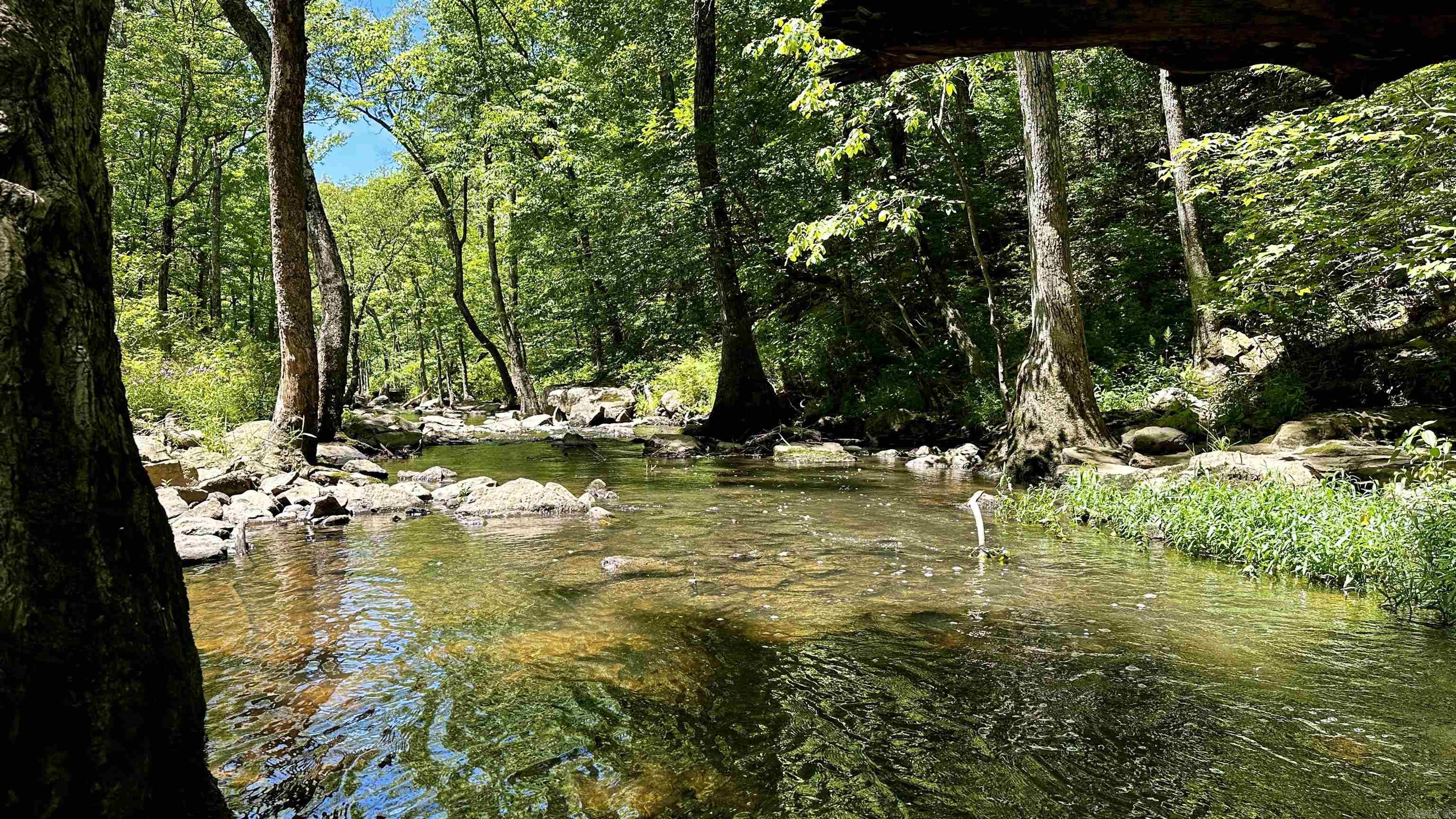 000 Ray King Rd.  Judsonia, AR