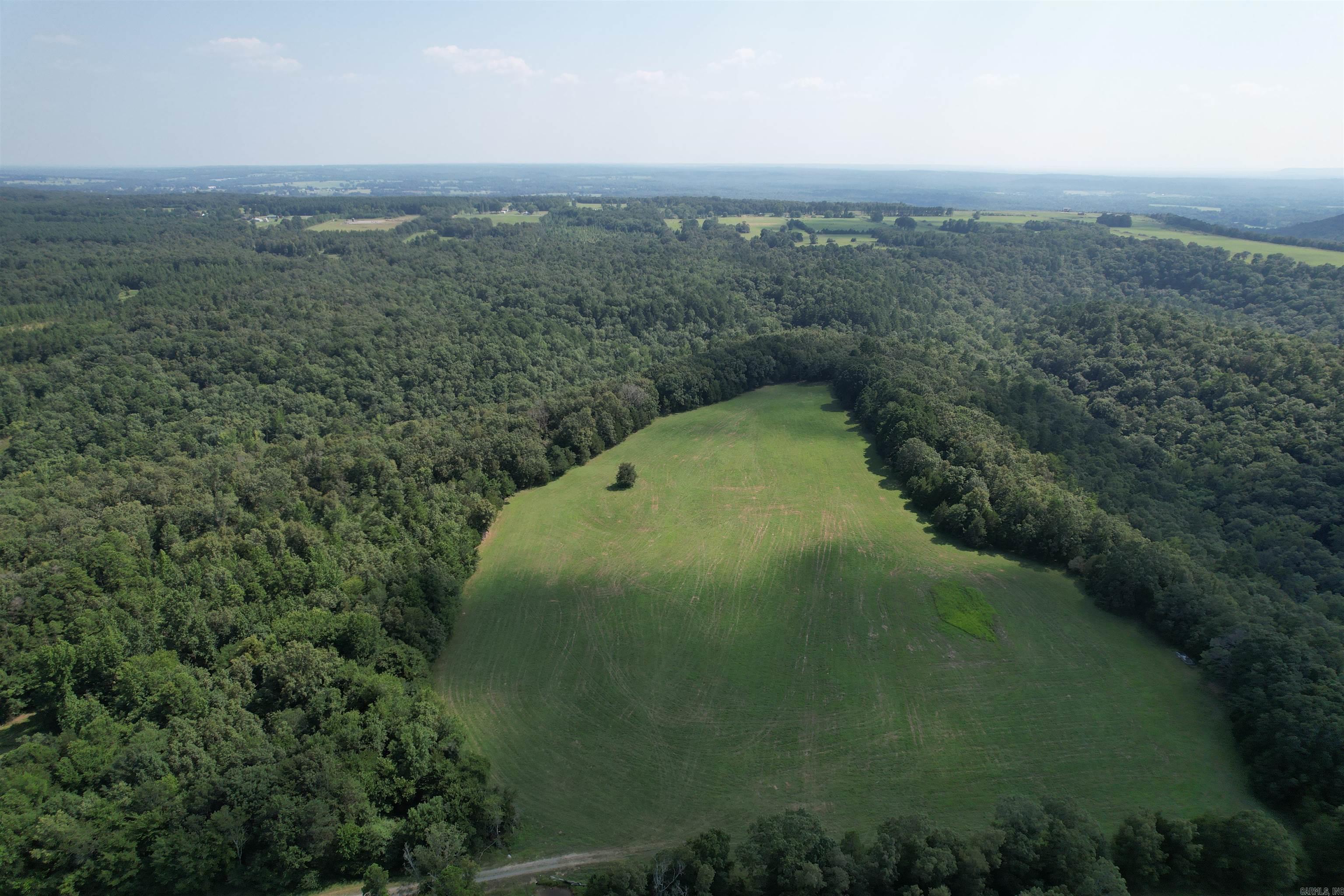 000  Ray King Rd.  Judsonia, AR