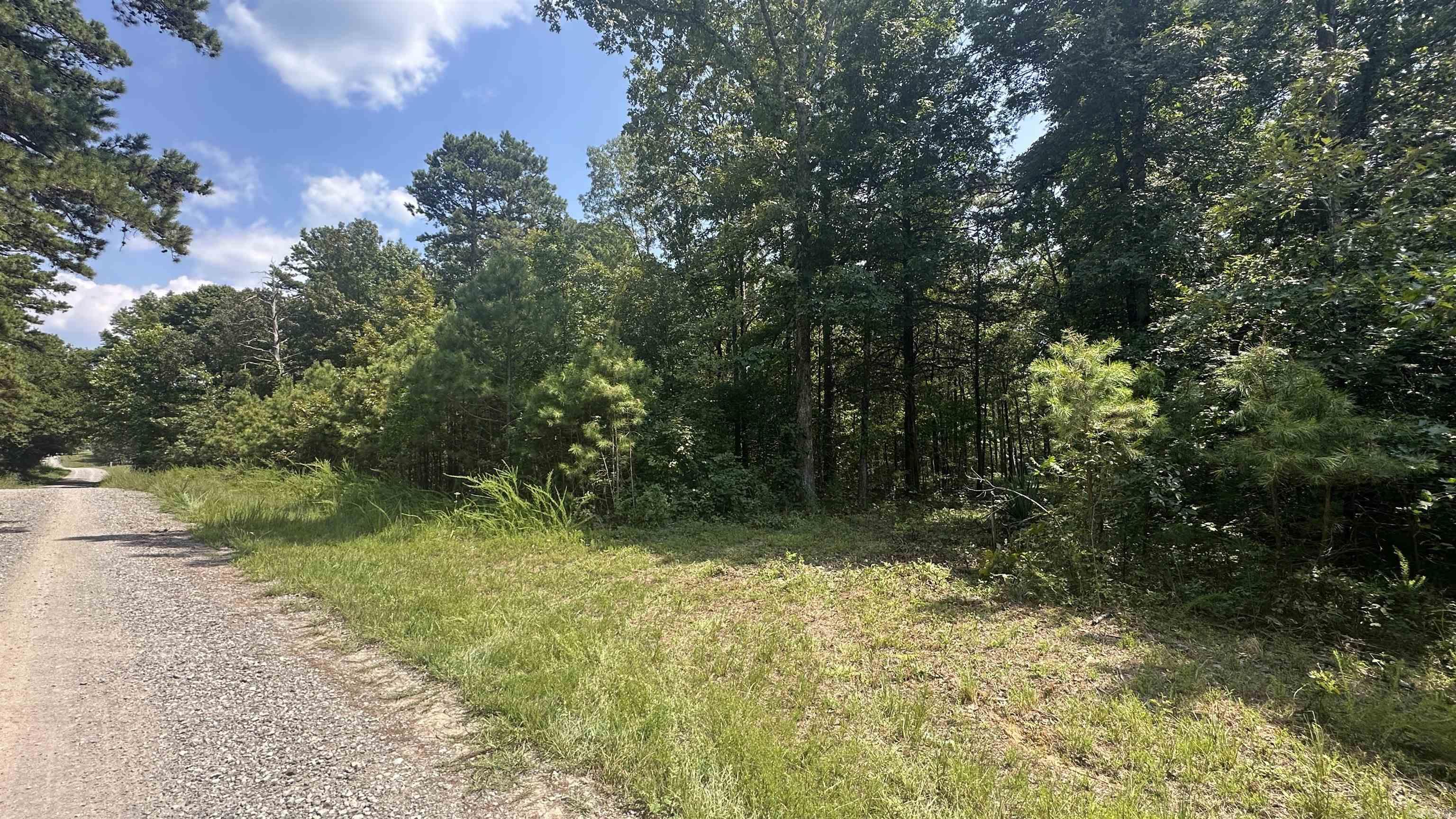 000  Ray King Rd.  Judsonia, AR