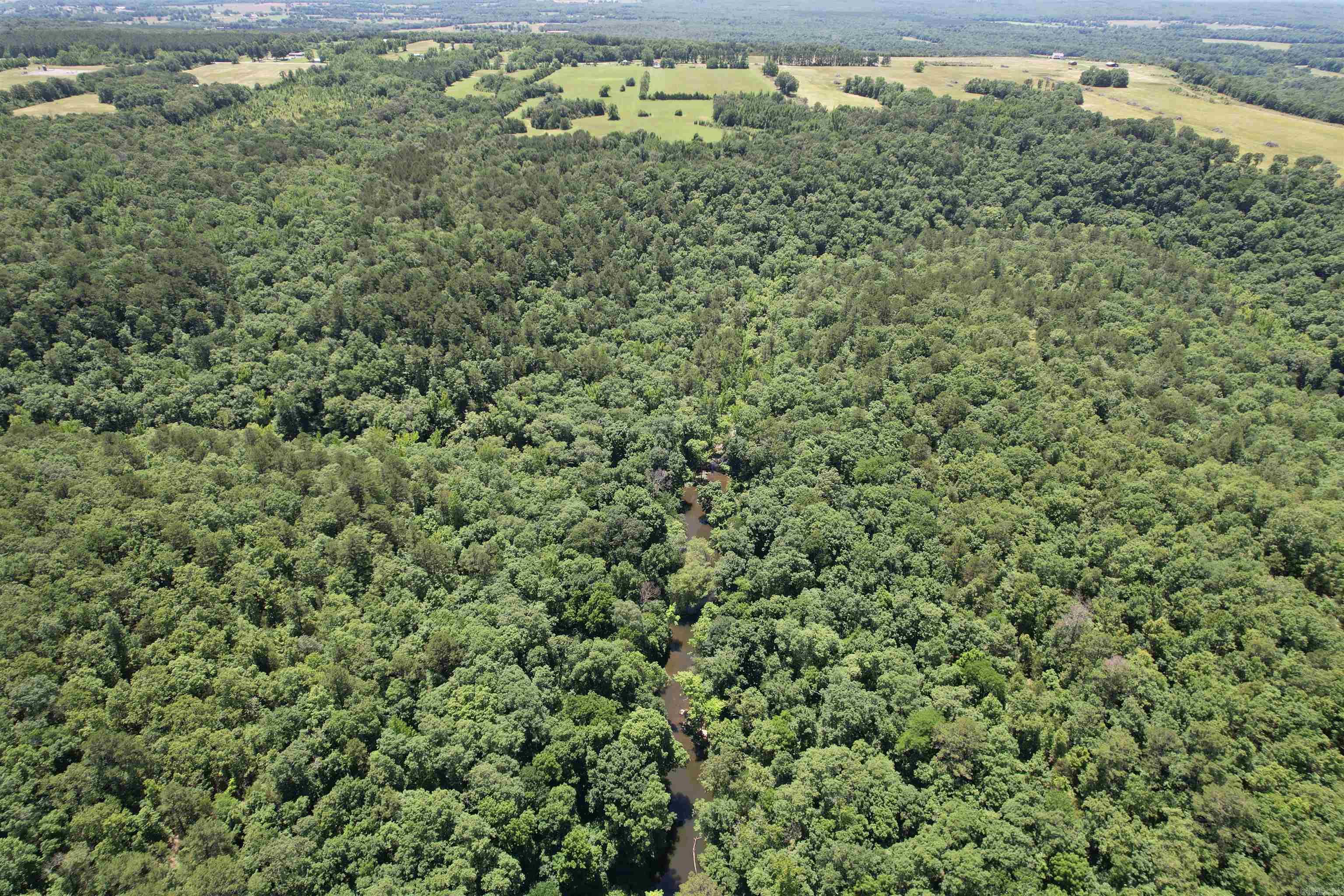 000  Ray King Rd.  Judsonia, AR