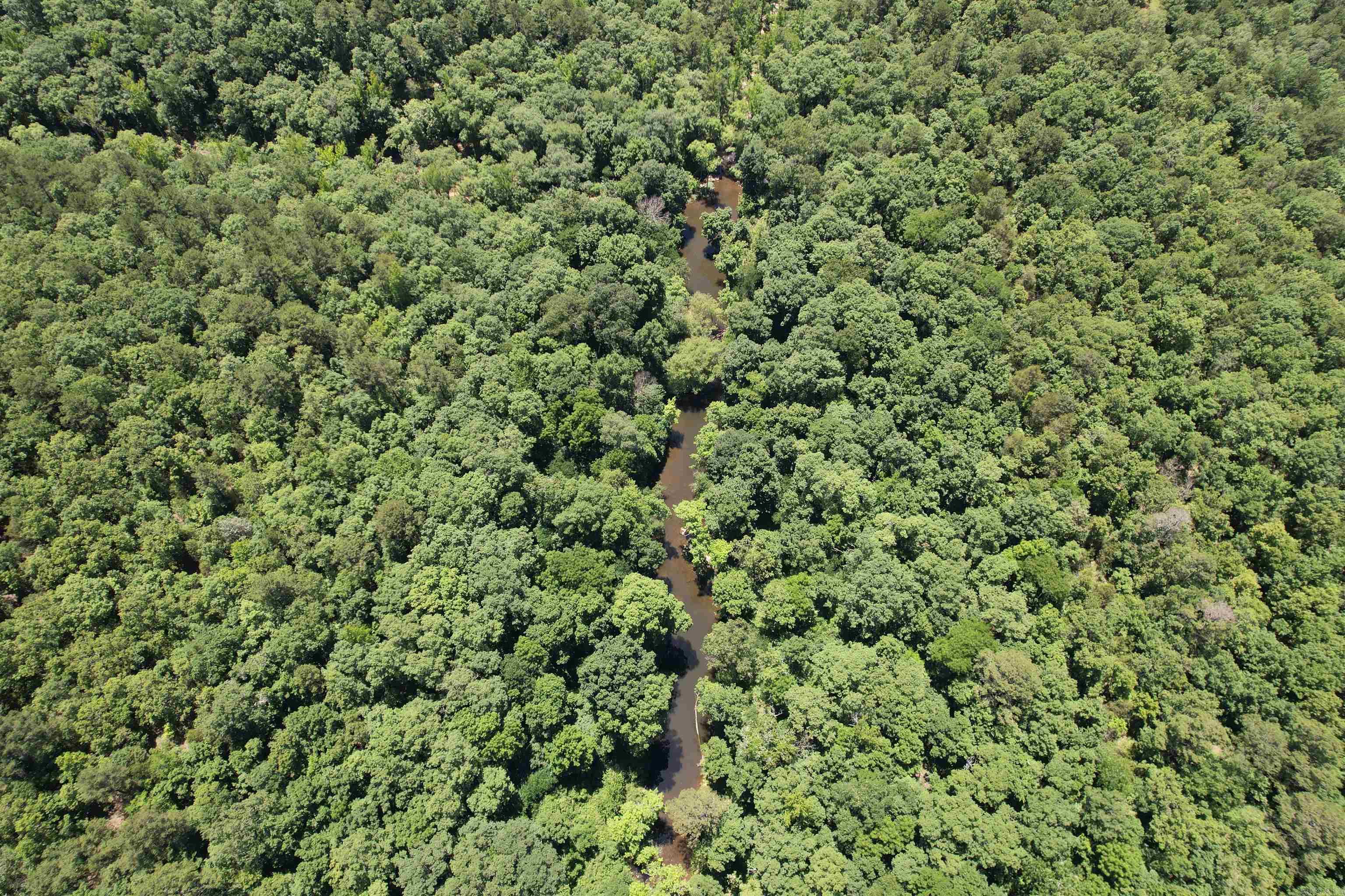 000  Ray King Rd.  Judsonia, AR