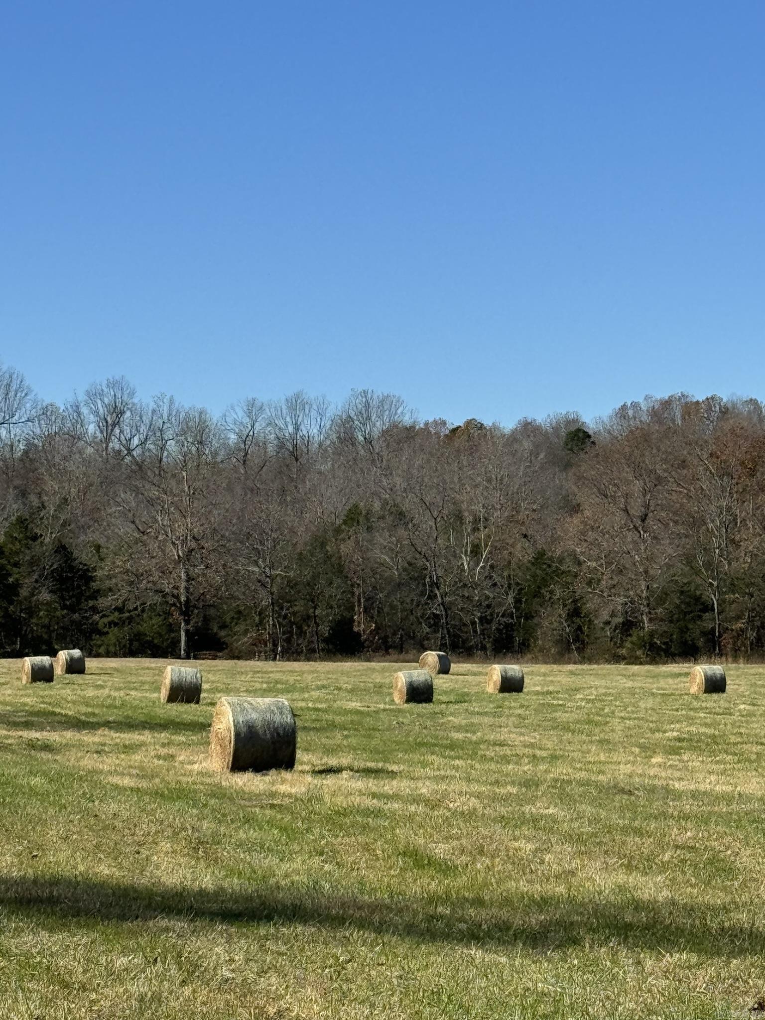 1551 S Bullpen Road  Oxford, AR