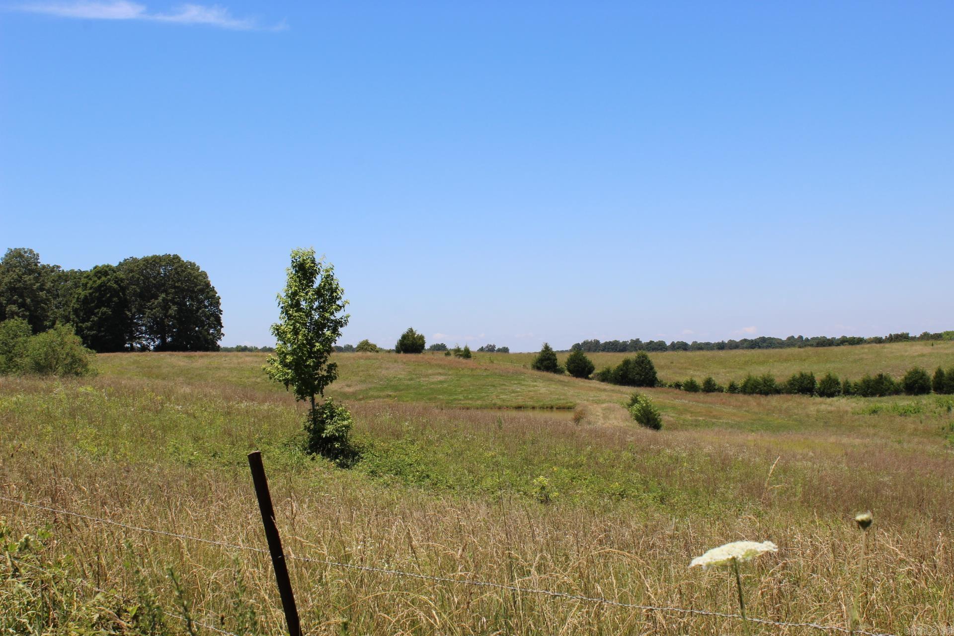 472  County Road  Piggott, AR