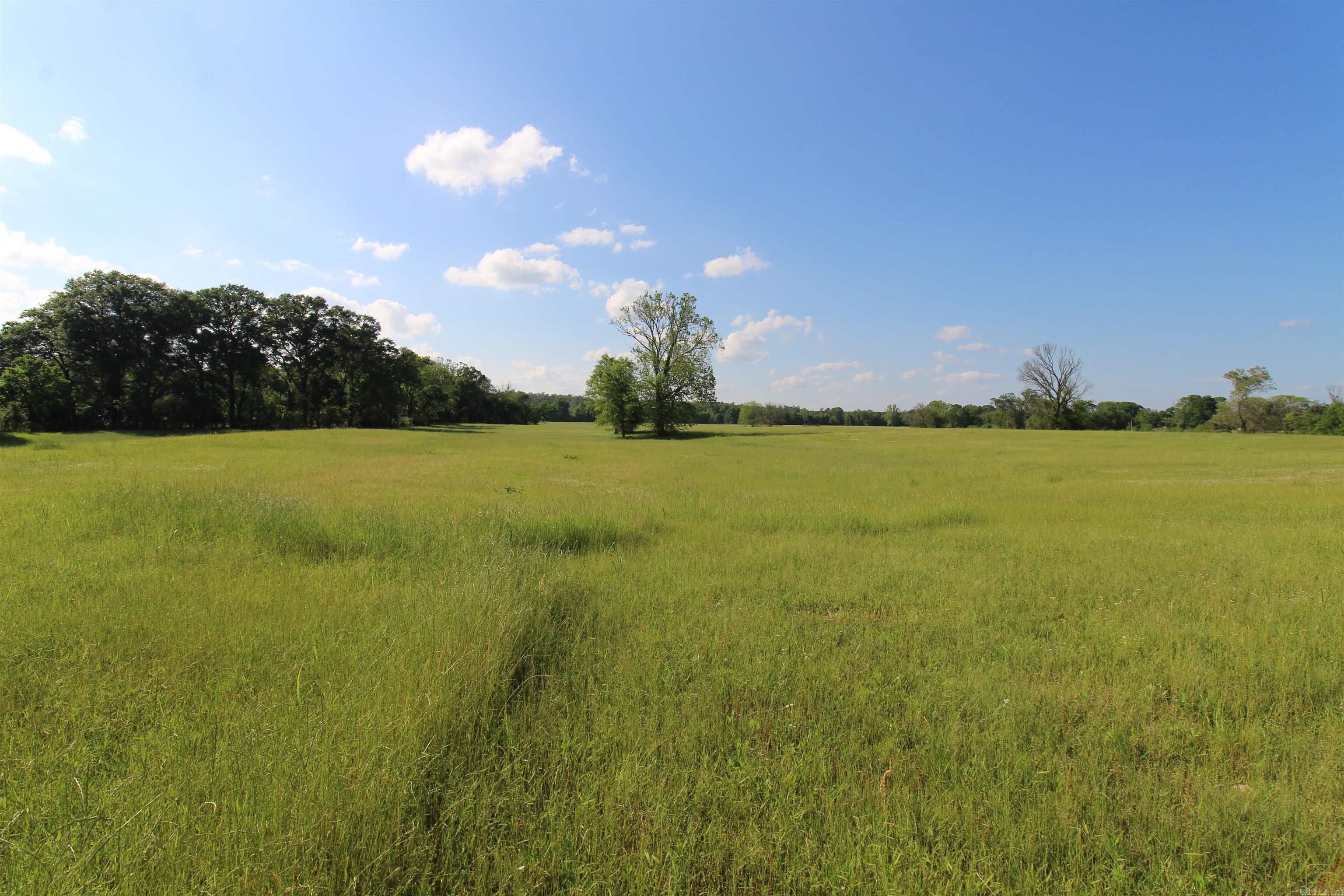 3030  Countness Road  Friendship, AR