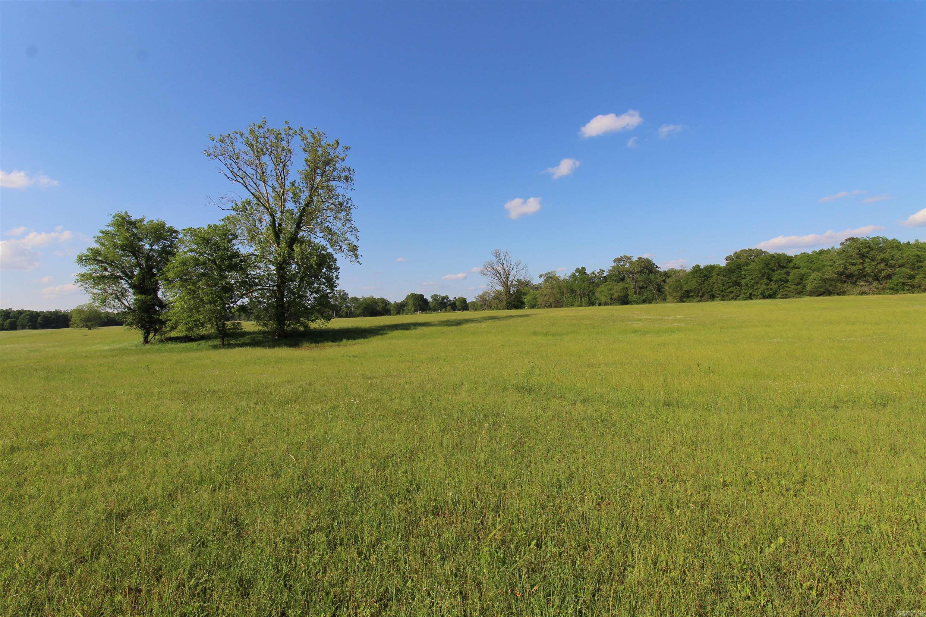 3030  Countness Road  Friendship, AR