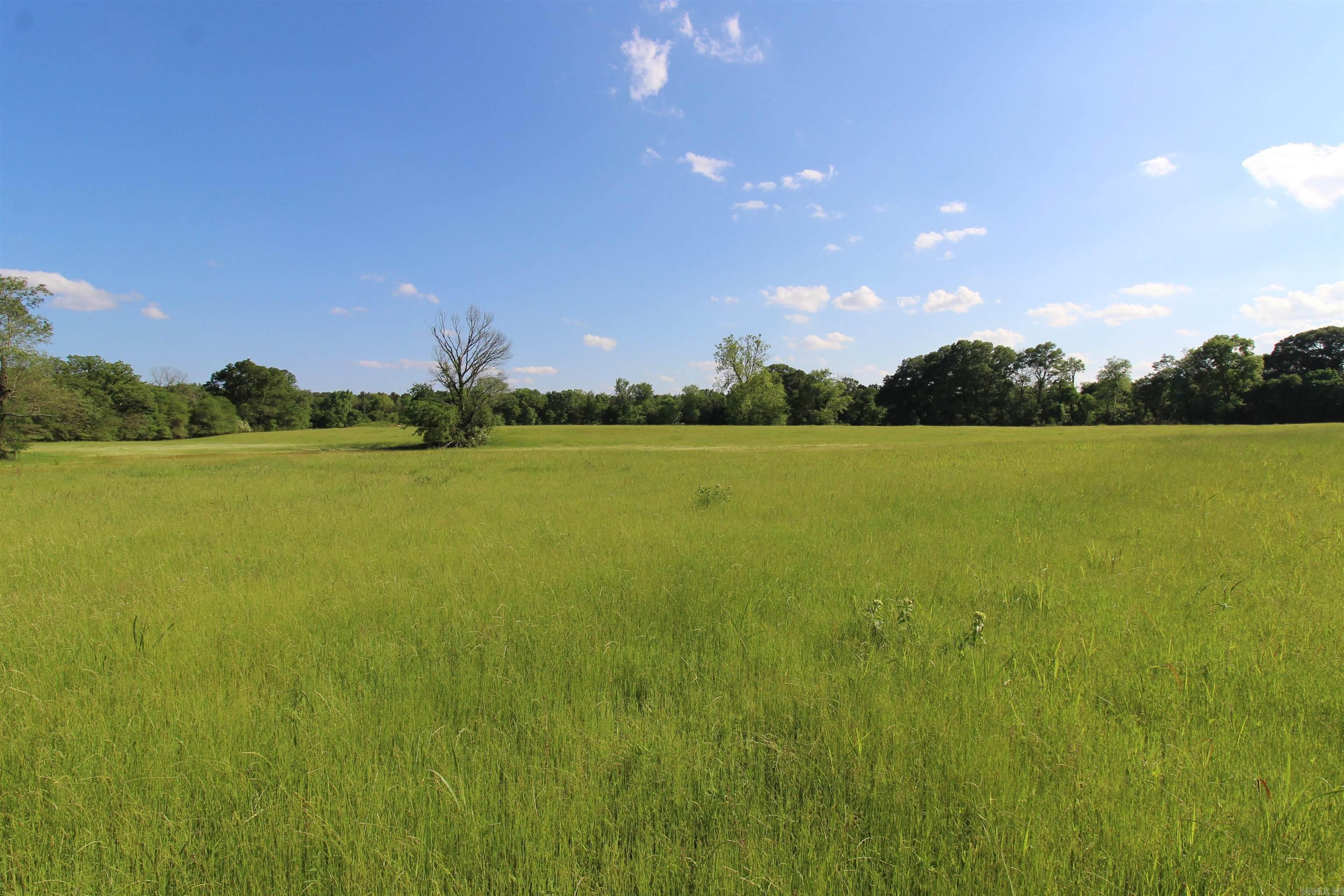 3030  Countness Road  Friendship, AR