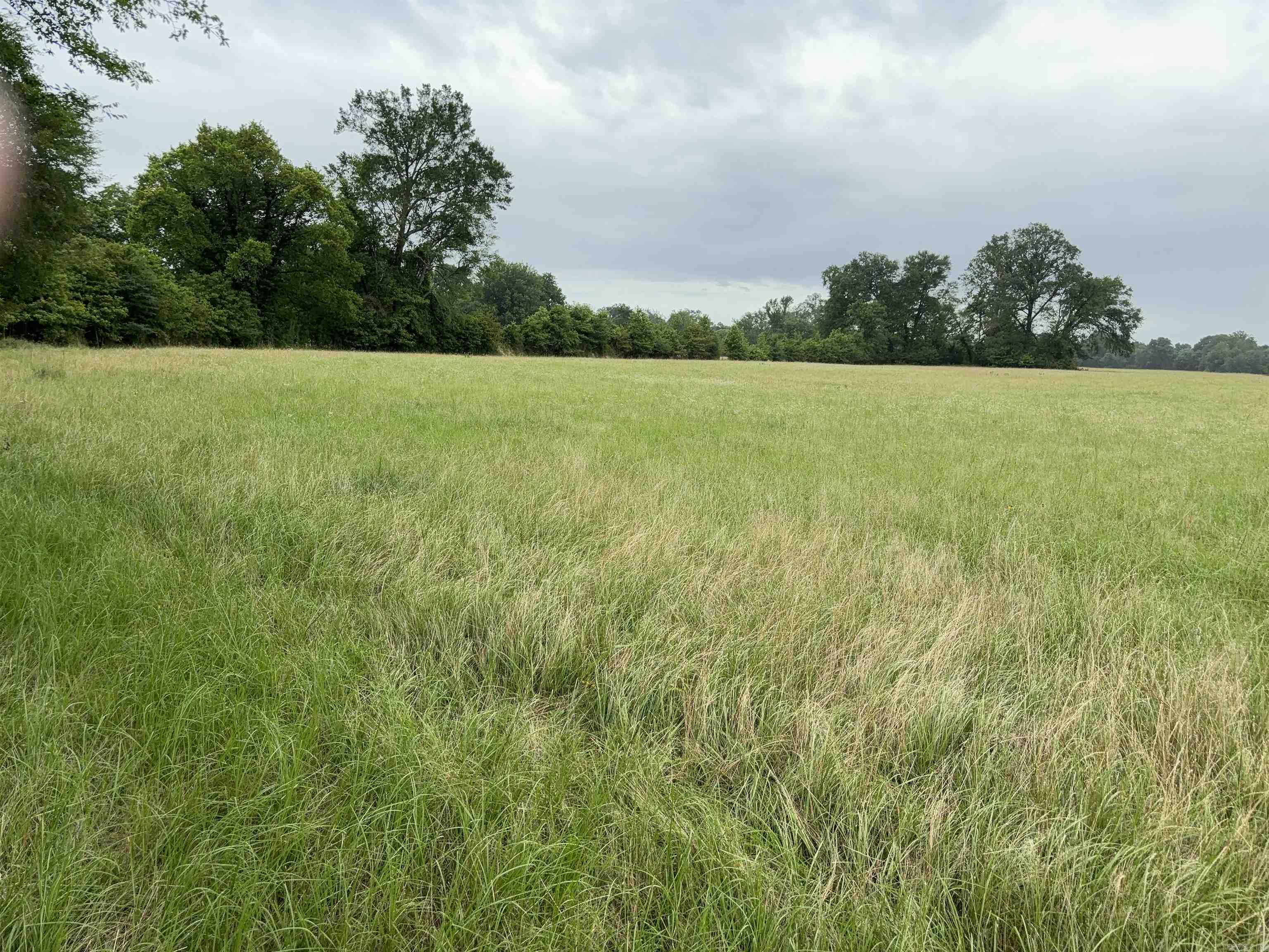 3030  Countness Road  Friendship, AR