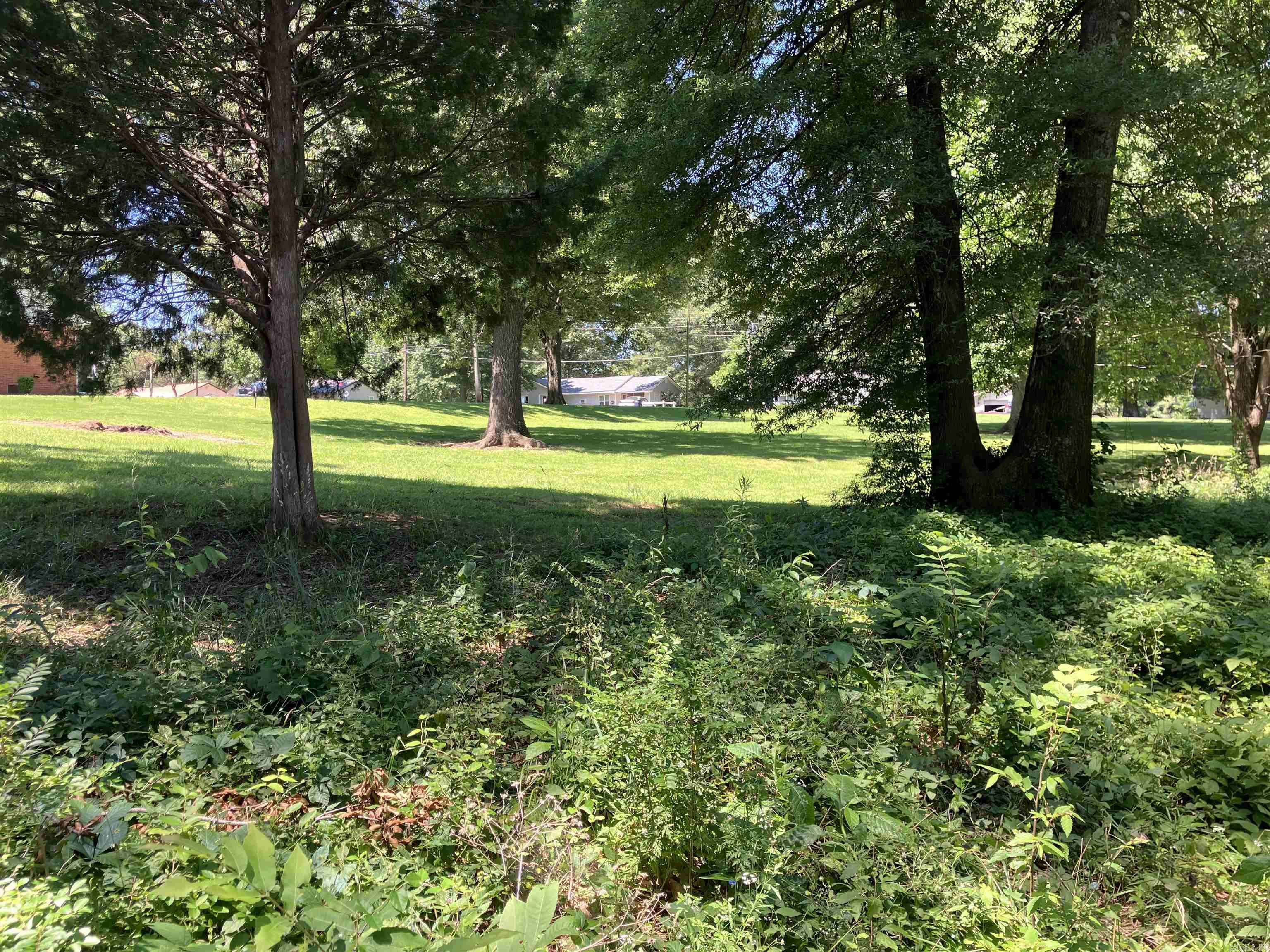 702 S 12th  Piggott, AR