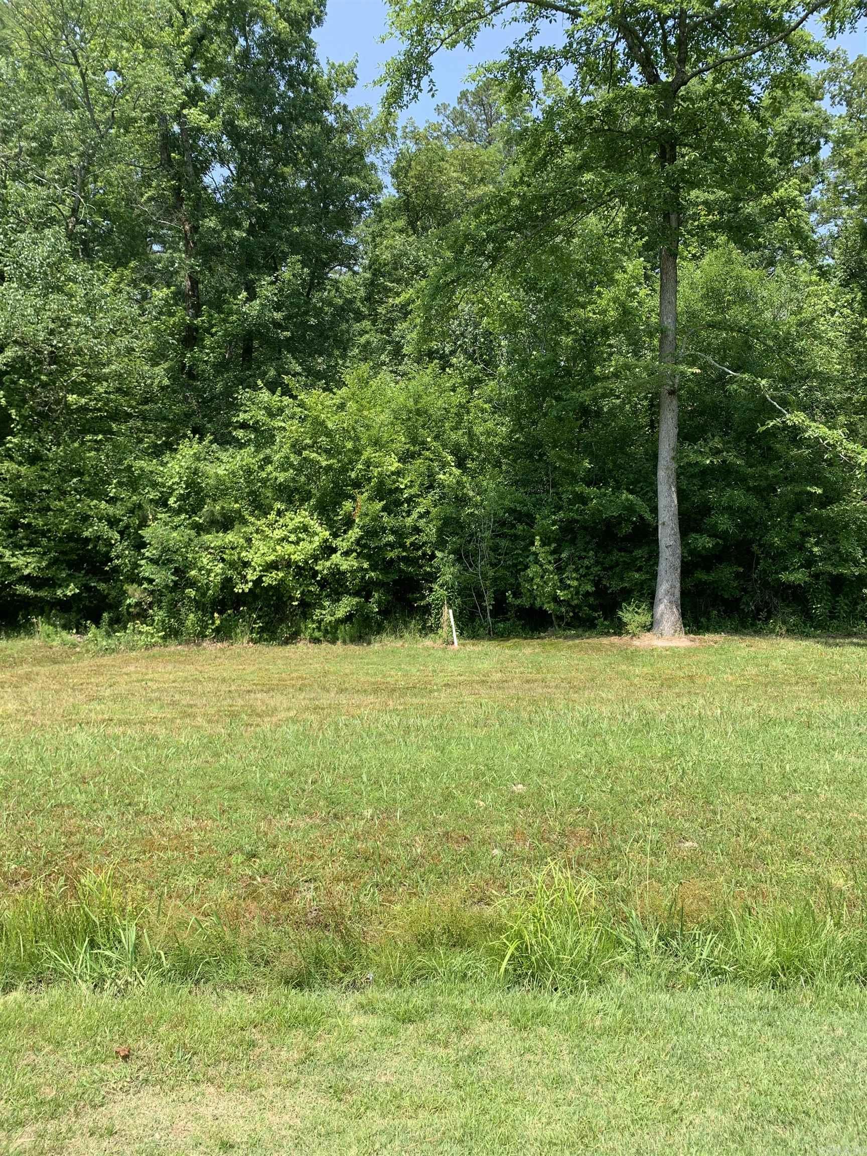 27  Pinocha  Hot Springs Village, AR