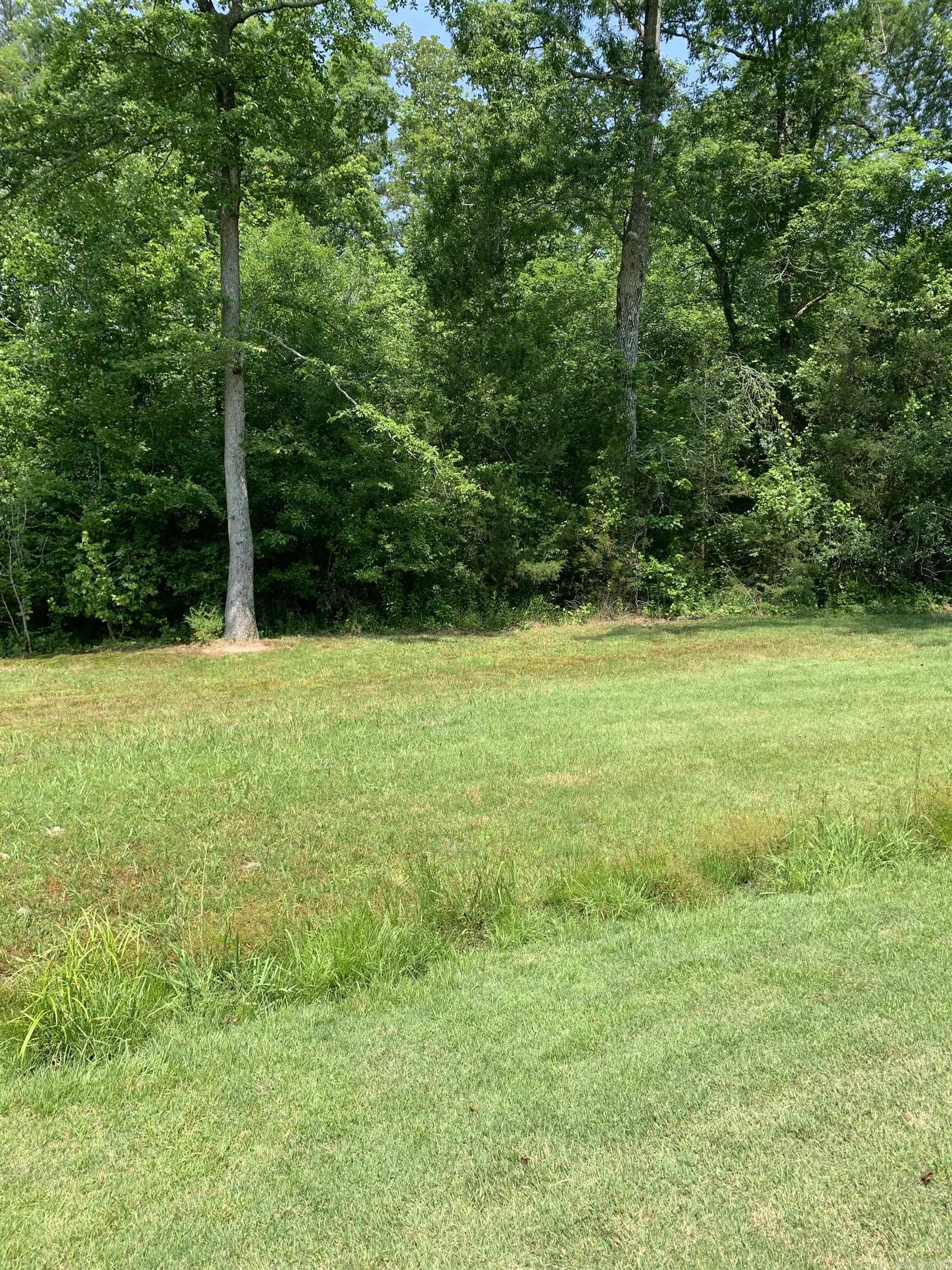 27  Pinocha  Hot Springs Village, AR