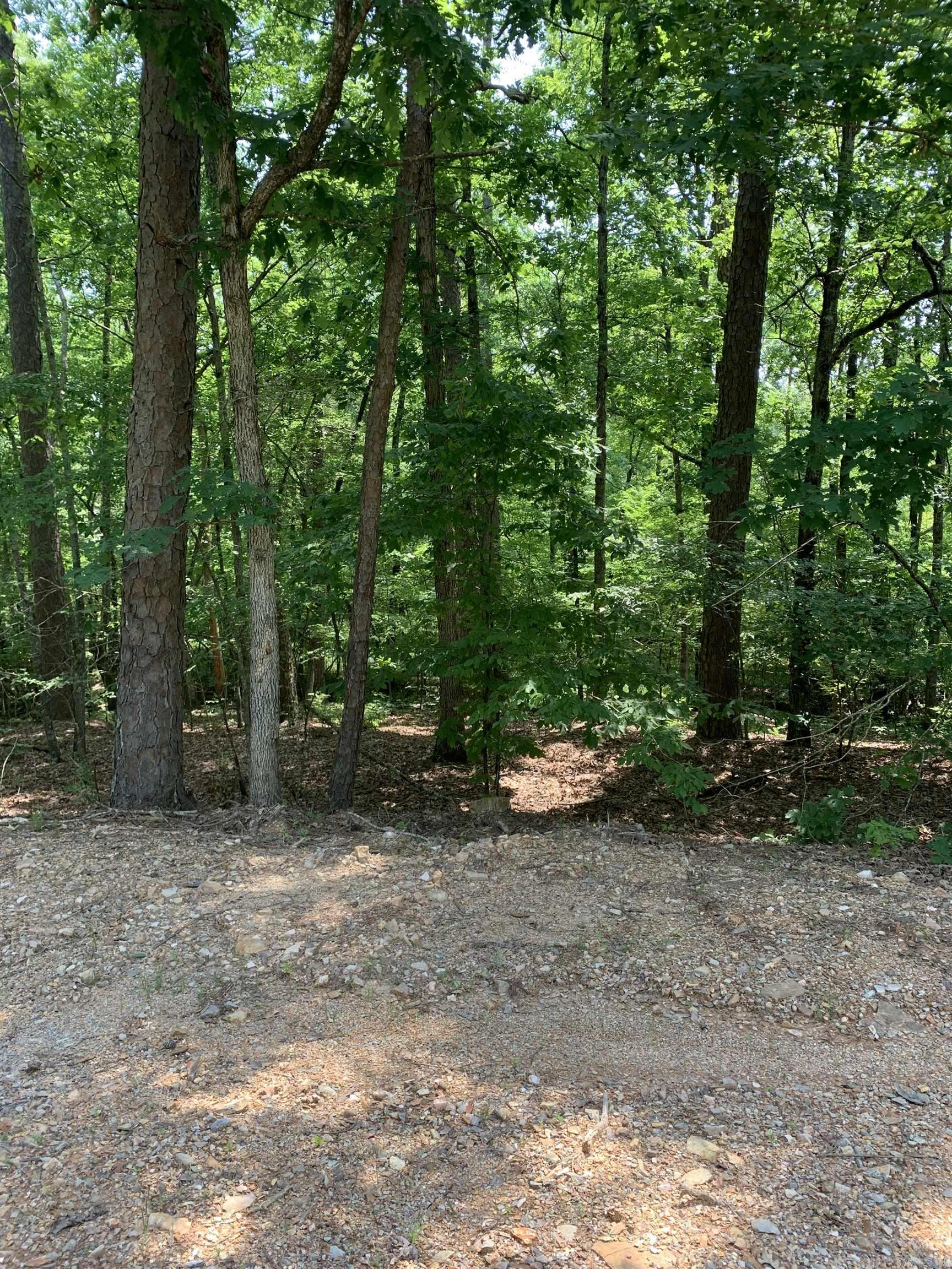 27  Pinocha  Hot Springs Village, AR