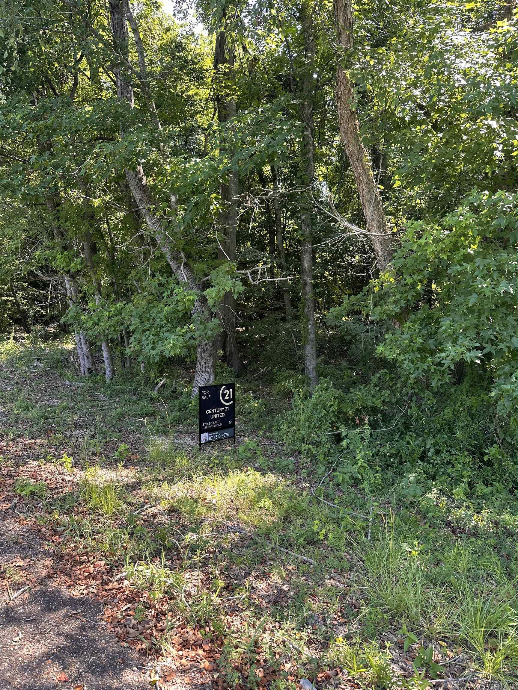 0  Pigeon Hill Rd  El Dorado, AR