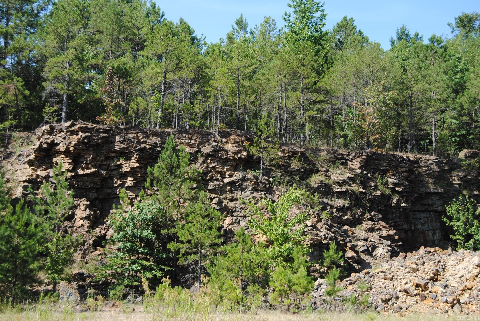 1010 Hwy 254 East Dennard, AR 72629
