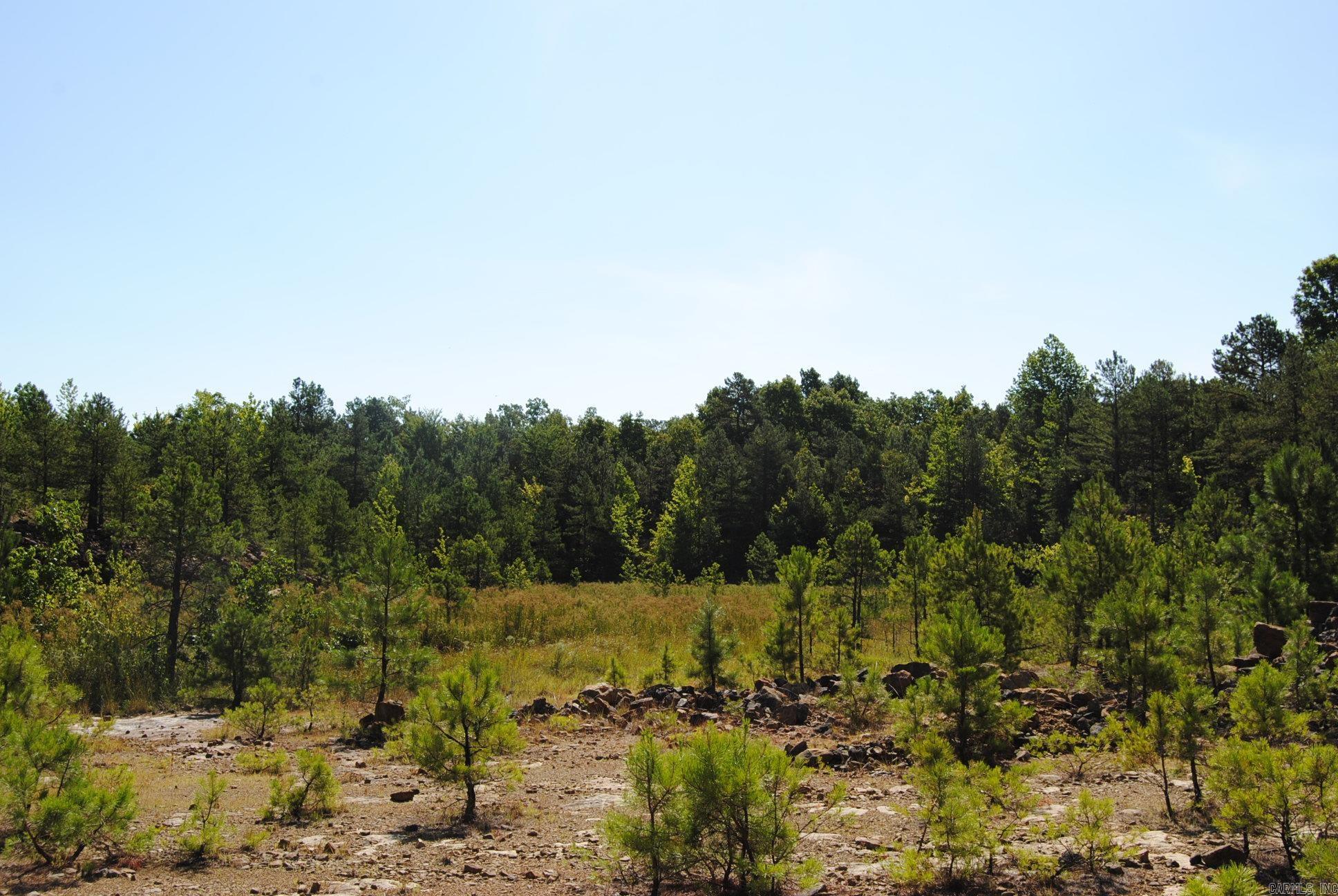 1010 Hwy 254 East Dennard, AR 72629
