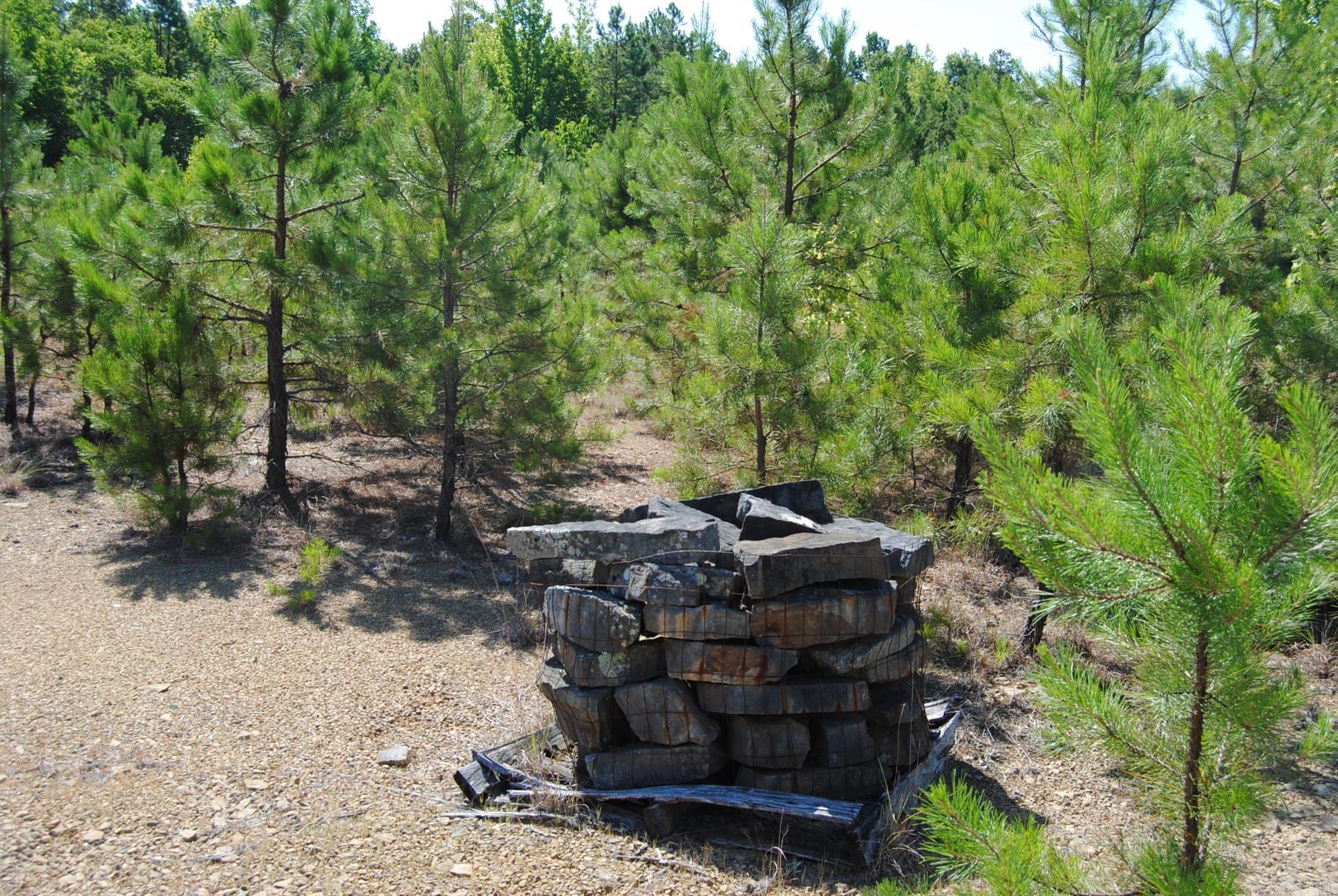 1010 Hwy 254 East Dennard, AR 72629
