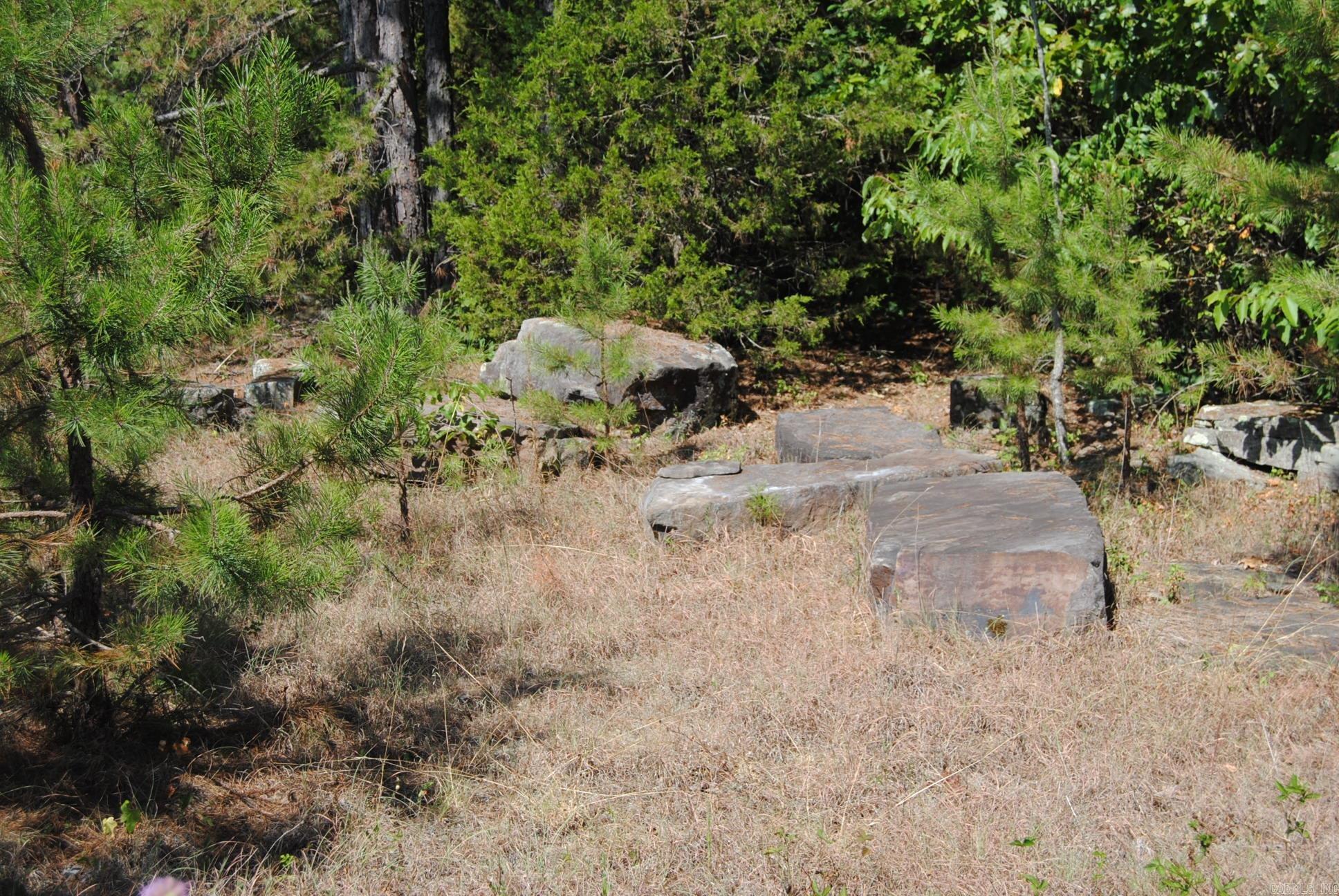 1010 Hwy 254 East Dennard, AR 72629