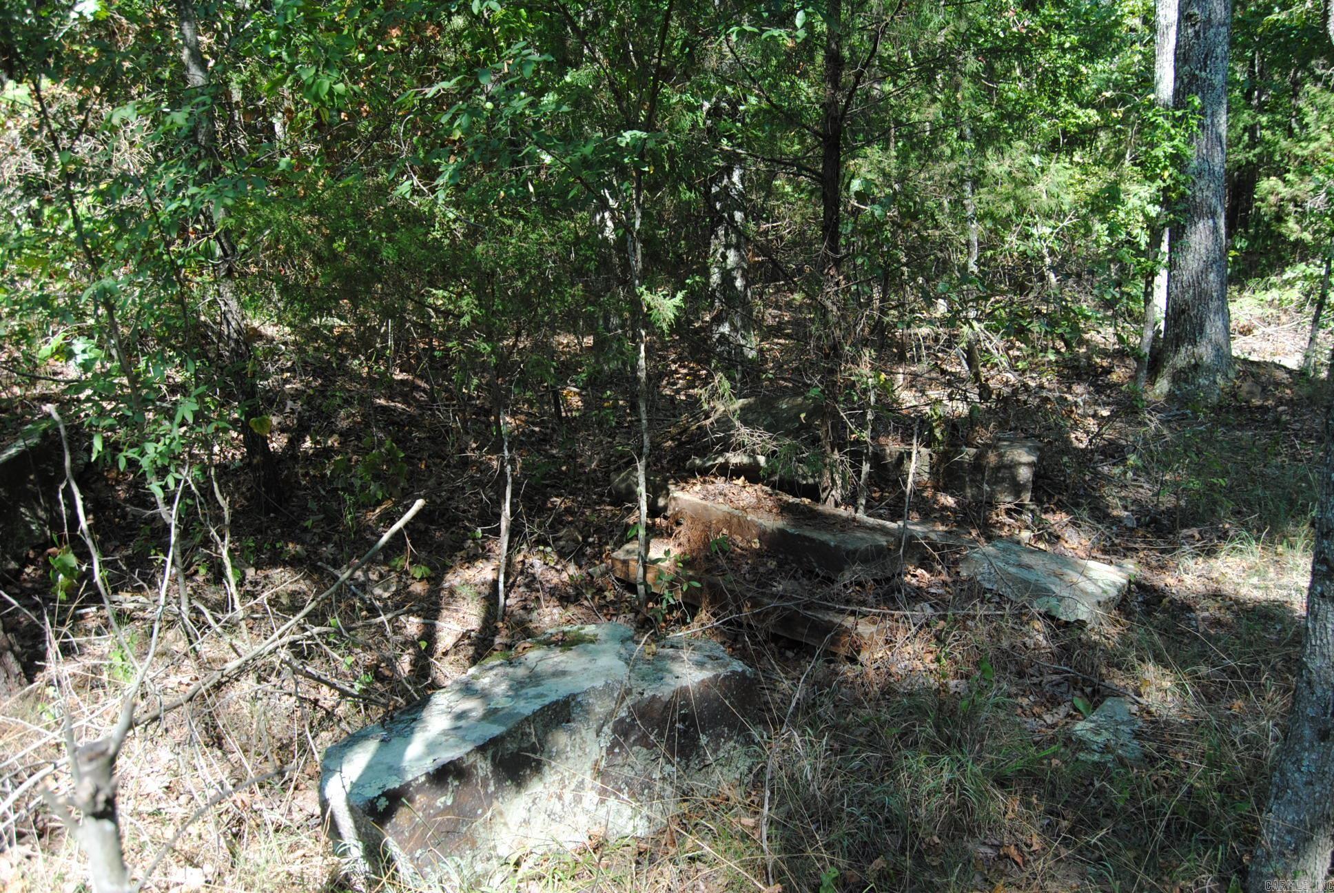 1010 Hwy 254 East Dennard, AR 72629