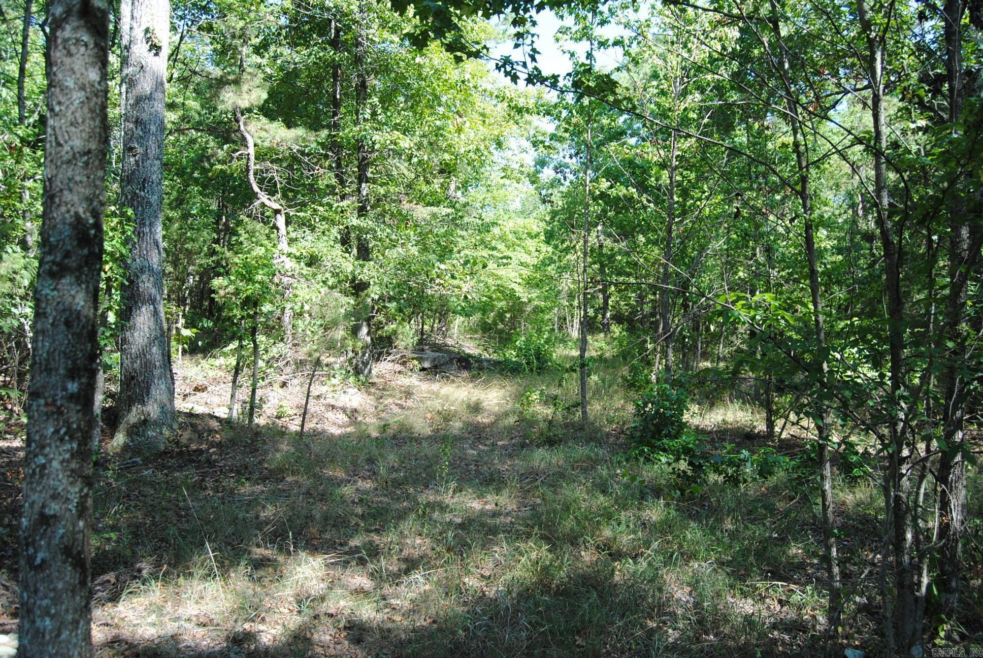 1010 Hwy 254 East Dennard, AR 72629