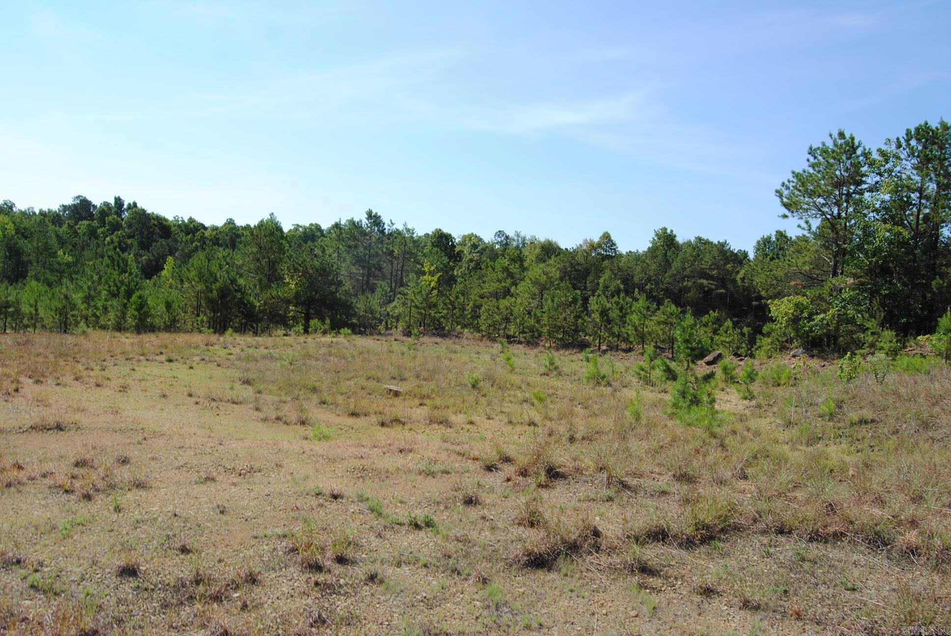 1010 Hwy 254 East Dennard, AR 72629